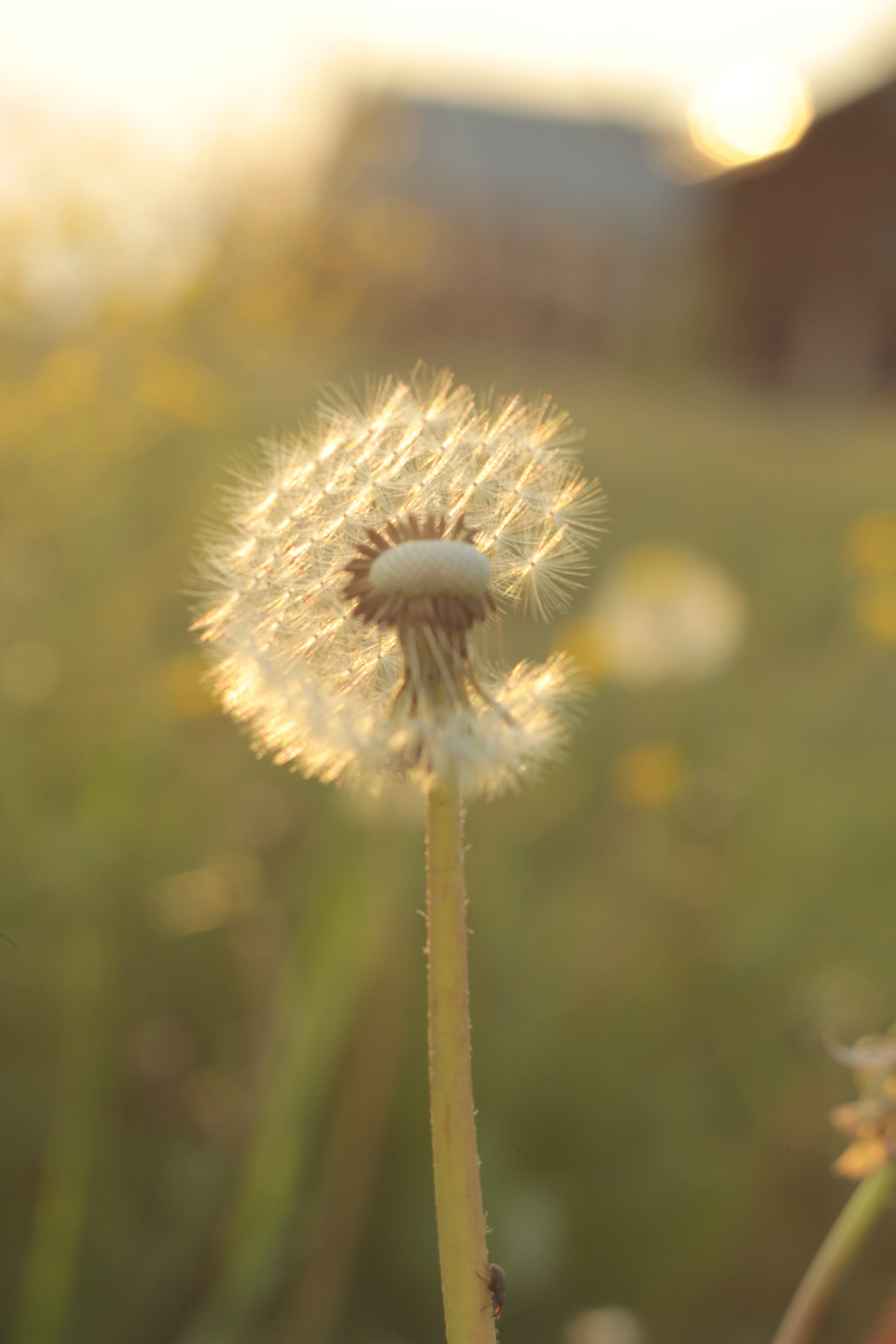 Вне студии. Фотограф Светлана Заплатина