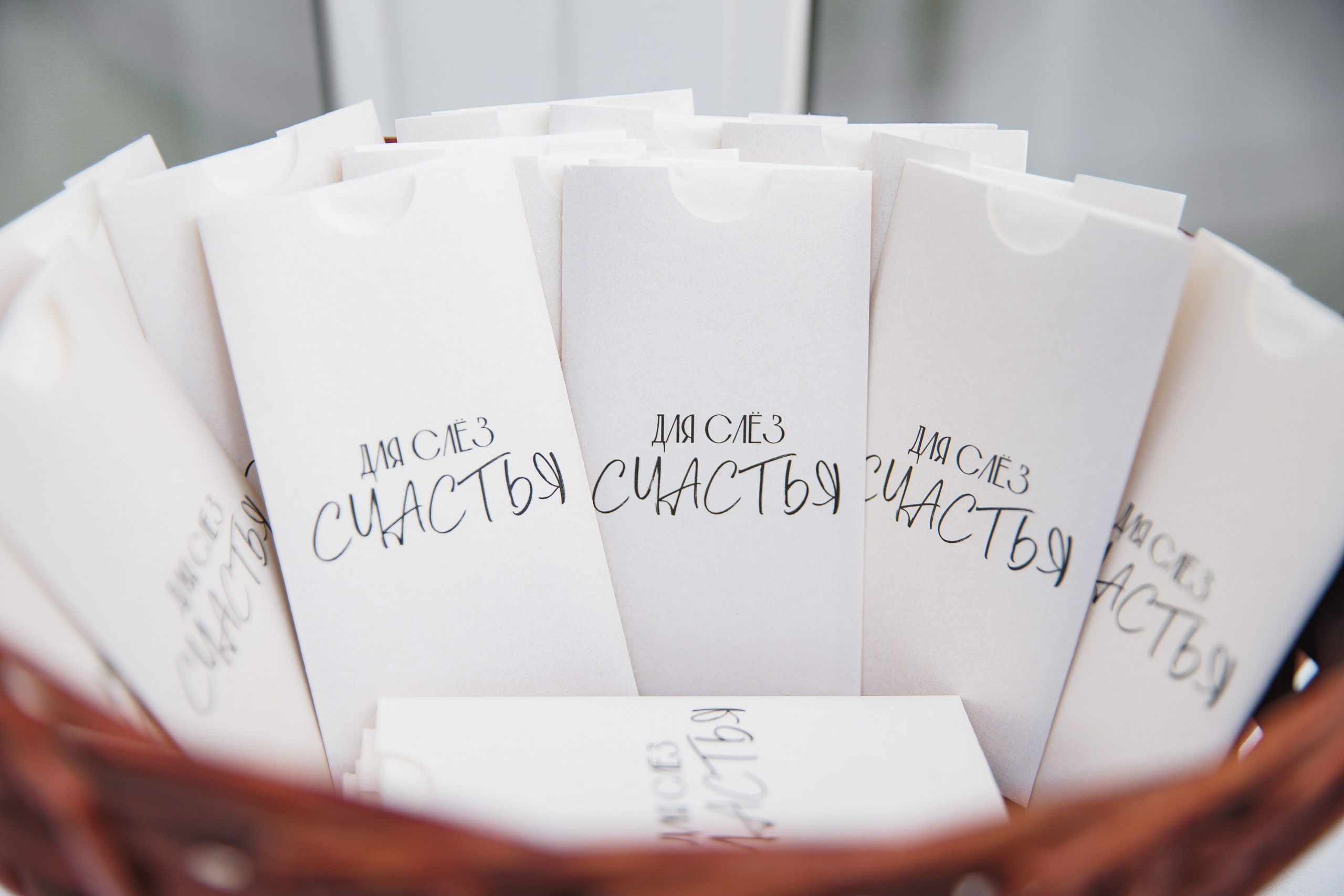 Регина и Александр. Свадебный фотограф в Санкт-Петербурге, Москве, Европе и по всему миру