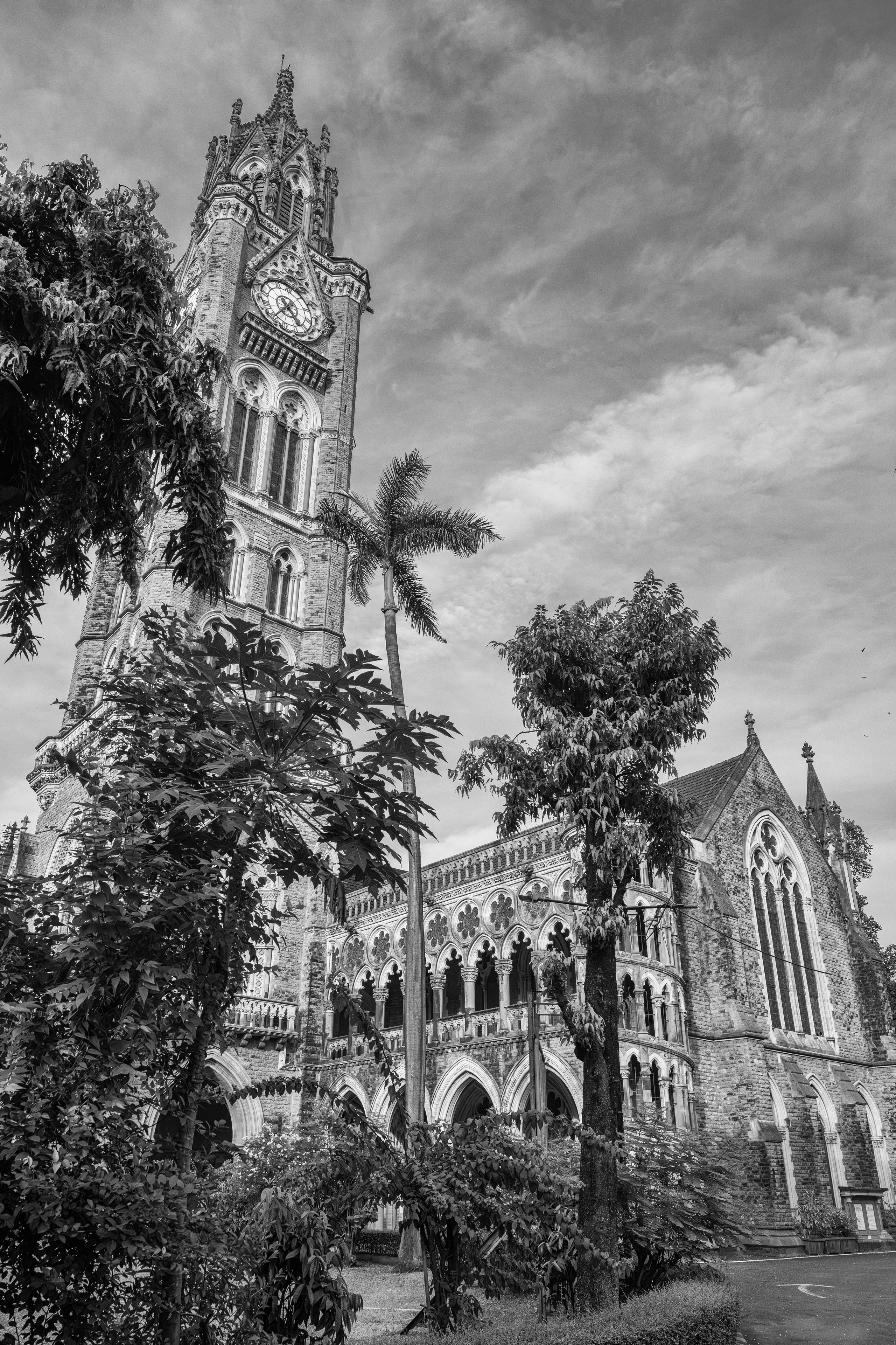 Dimitri Bakhtadze, single works photos. Dimitri Bakhtadze photographer