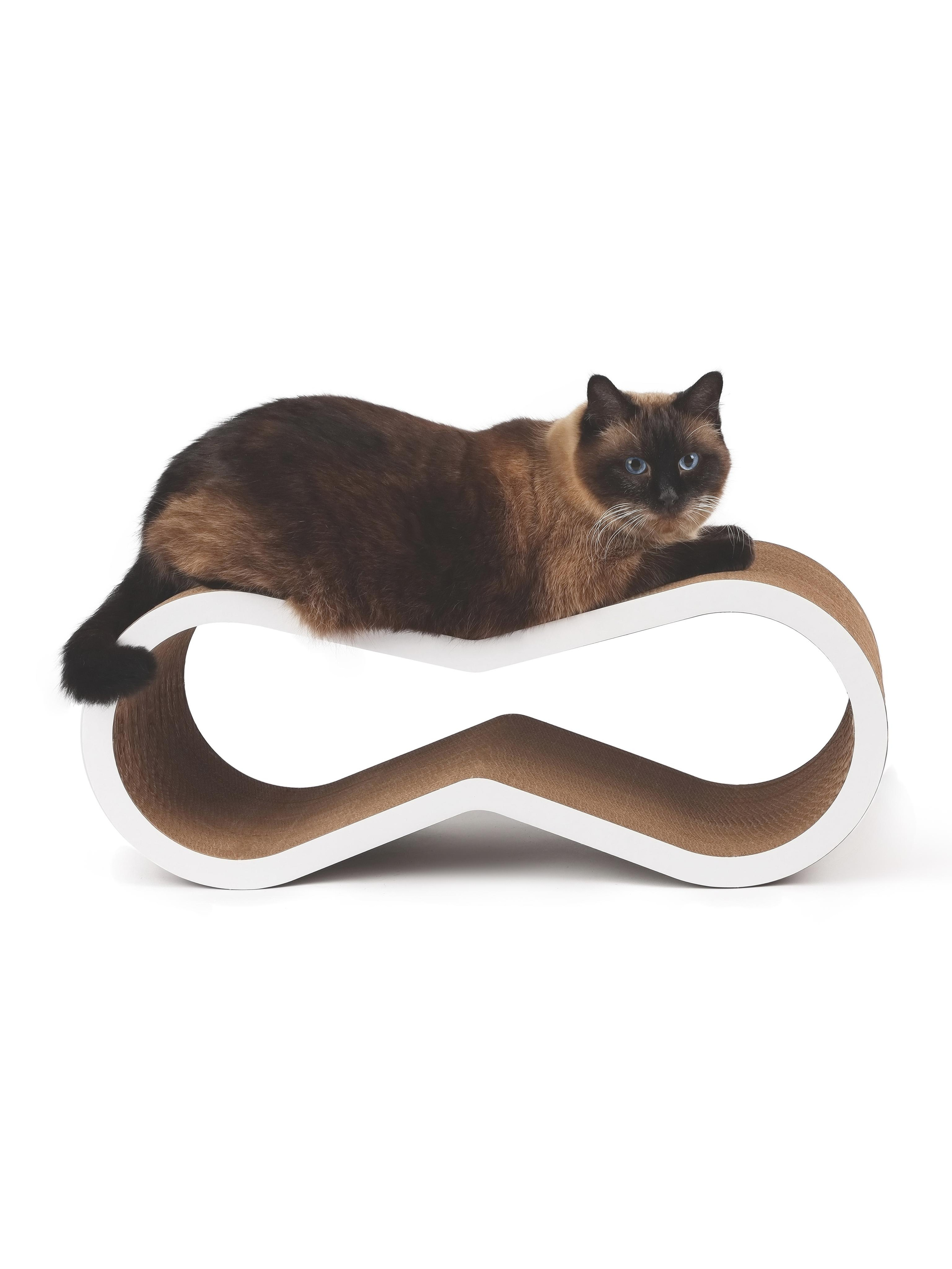 Съемка животных, съемка с животными. Рекламный и предметный фотограф в Санкт-Петербурге Мария Ерикина