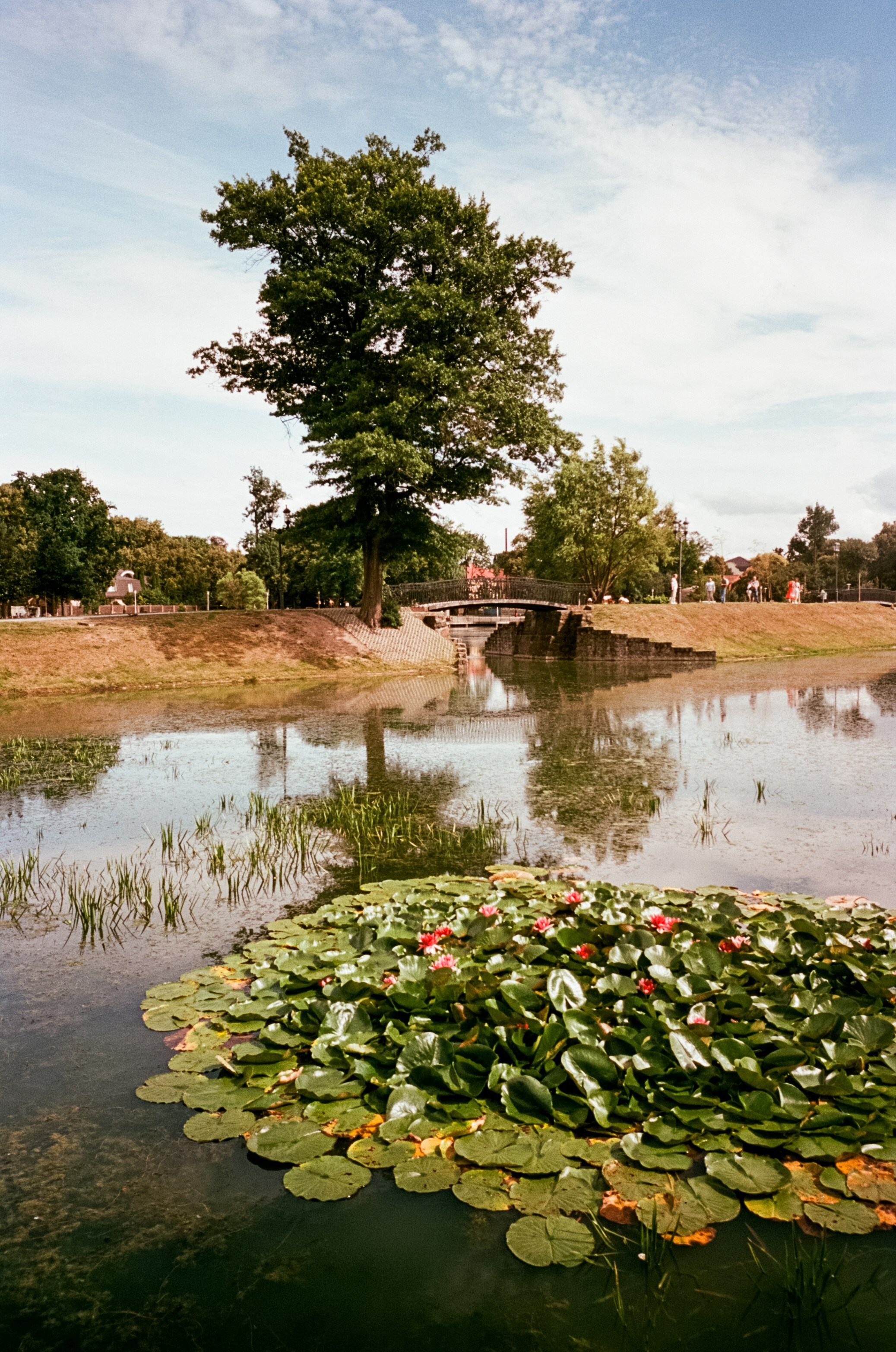 Калиниградский стрит. Новая пленка, Ricoh GR-10 и любимое кафе. Фотограф-документалист Мария Осокина