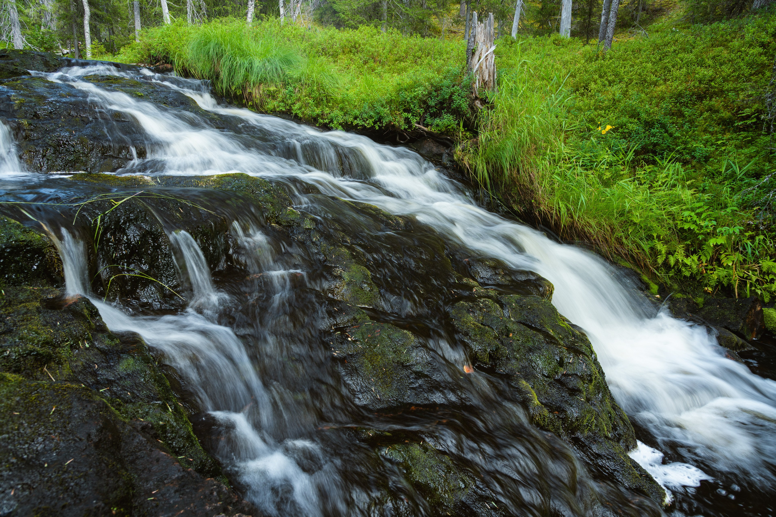 Лето. Северные Ночи