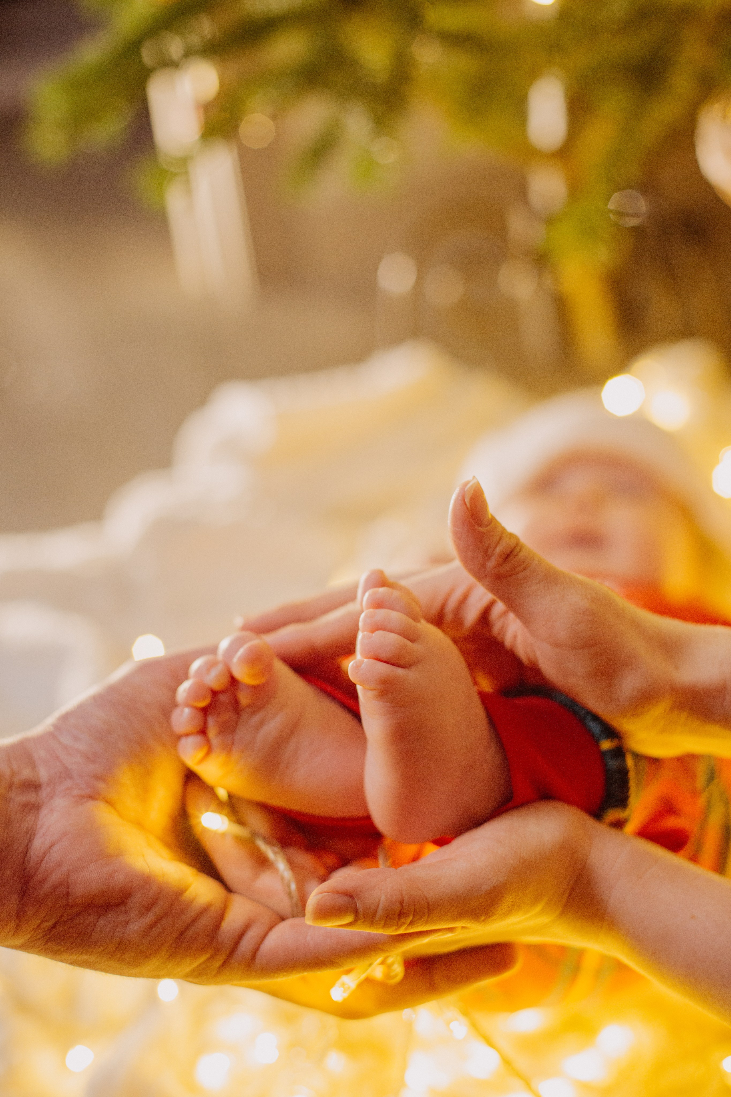 Новогодние съемки. Фуд фотограф новосибирск