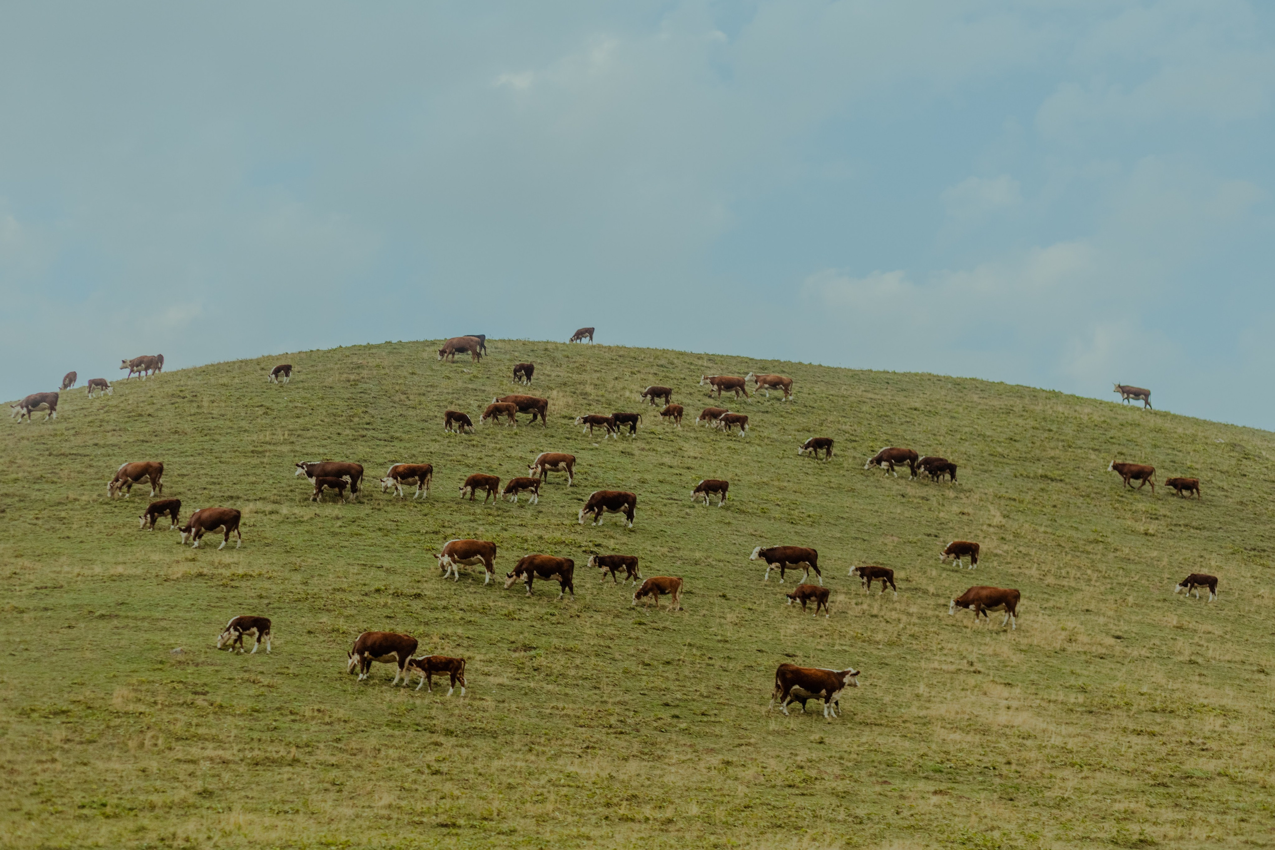 Плато Ассы. Экскурсии и туры по Алматы