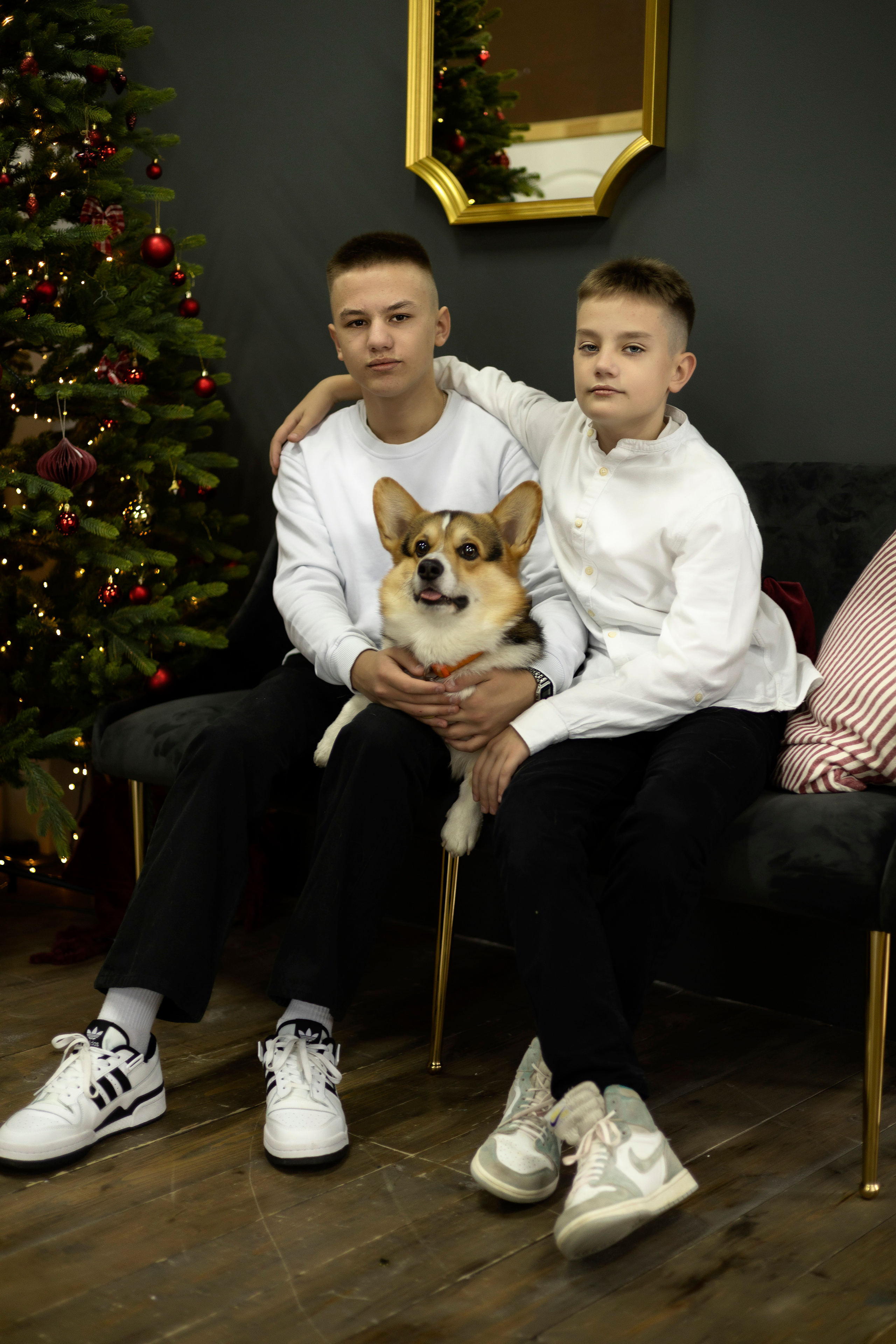 Новогодняя…. Семейный фотограф. Севастополь. Крым