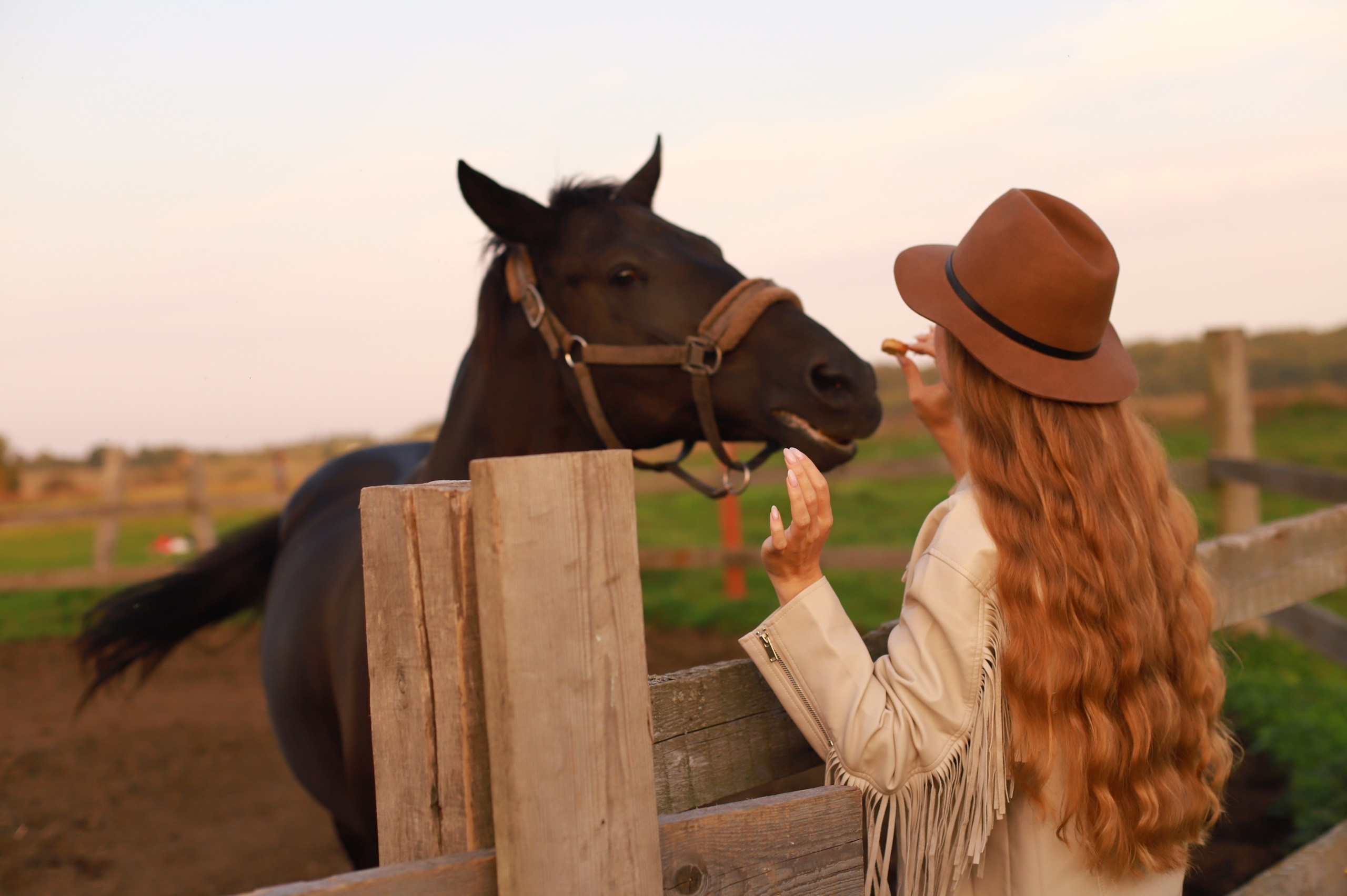 Снежана и Мышка (Закат). Женский и семейный фотограф в Санкт-Петербурге Любовь Малышева