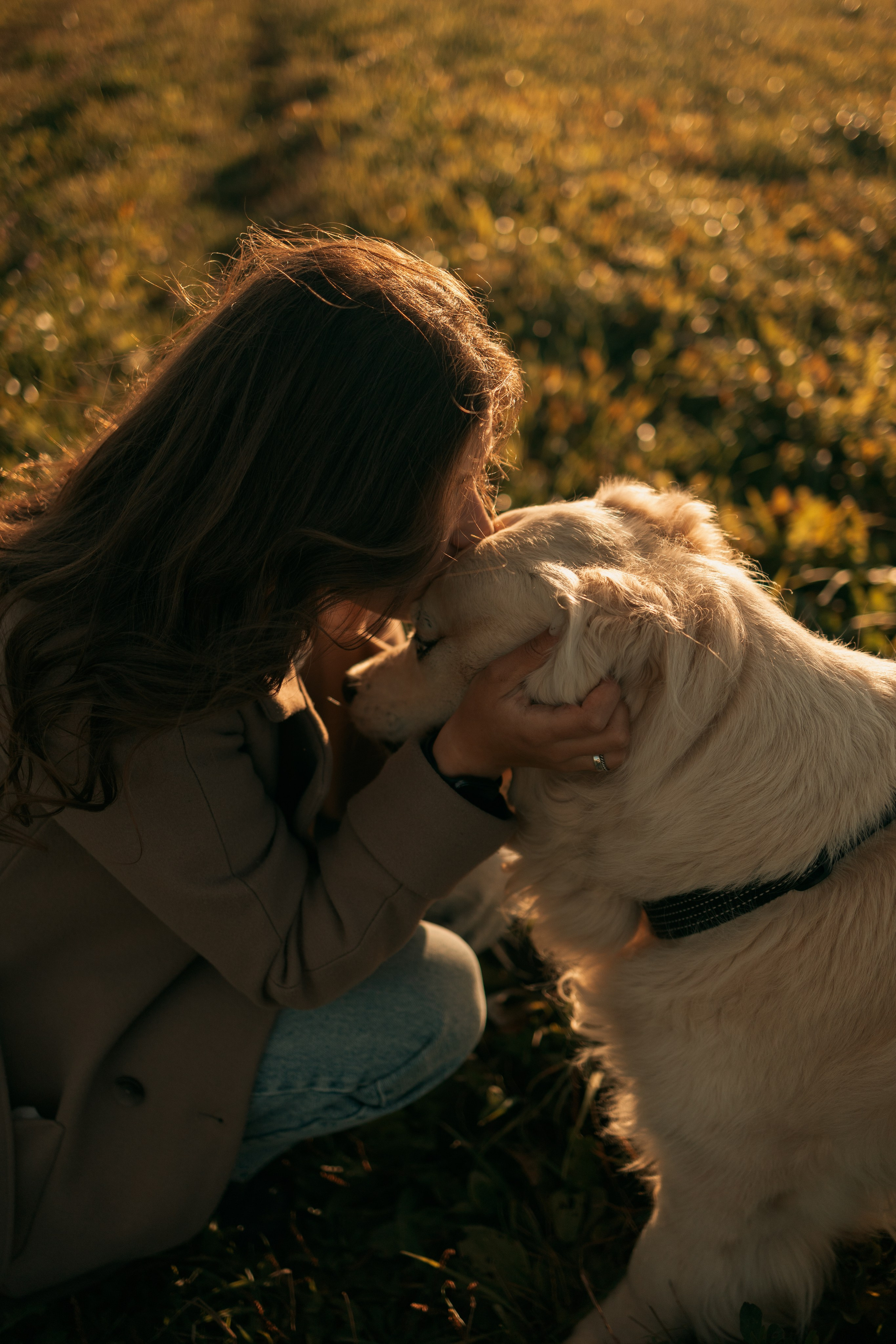 Лера и Скай. Фотограф — Анималист | Санкт-Петербург
