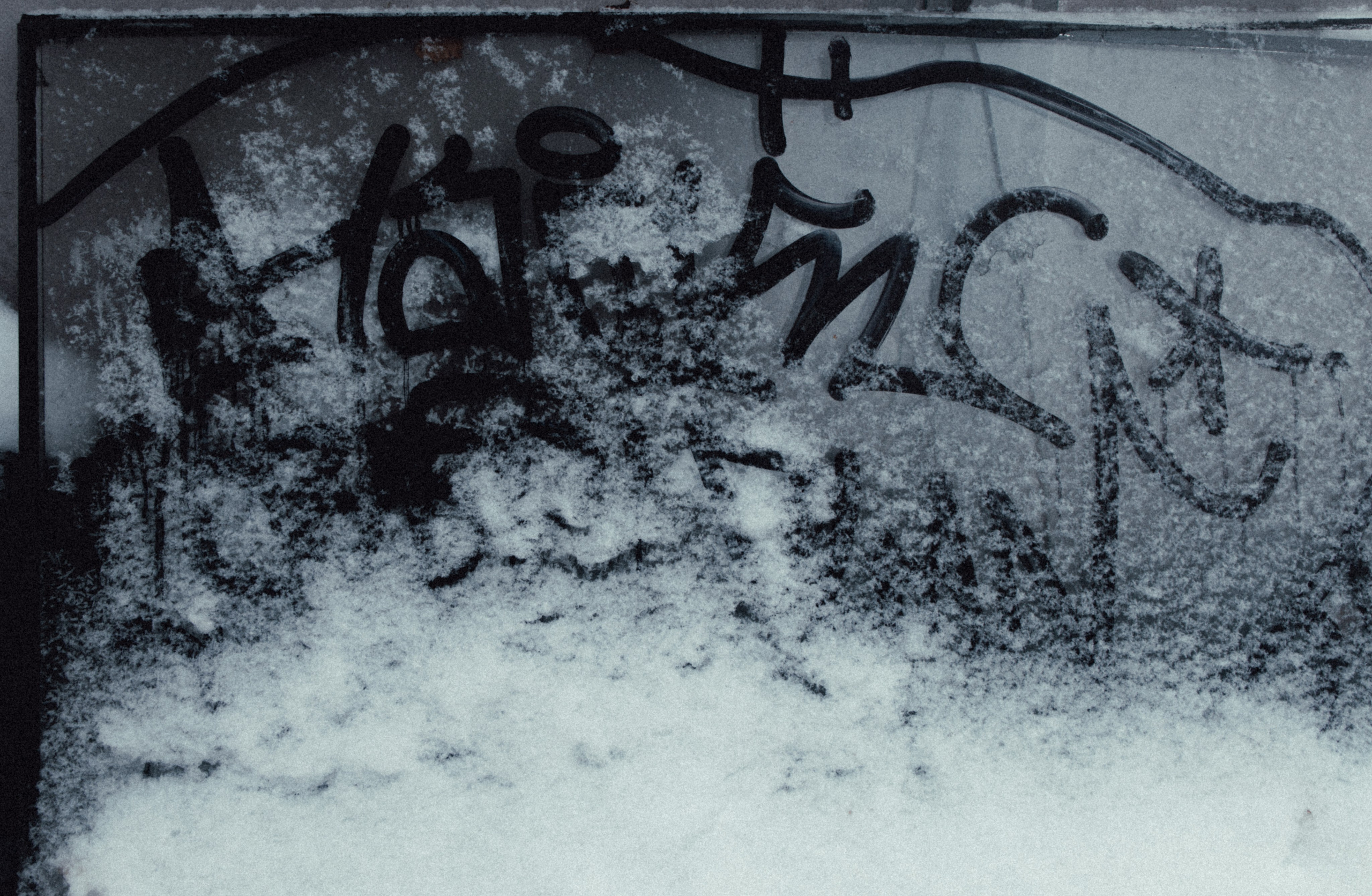 Маршрут ветеранов — электросила. Анна Мильч