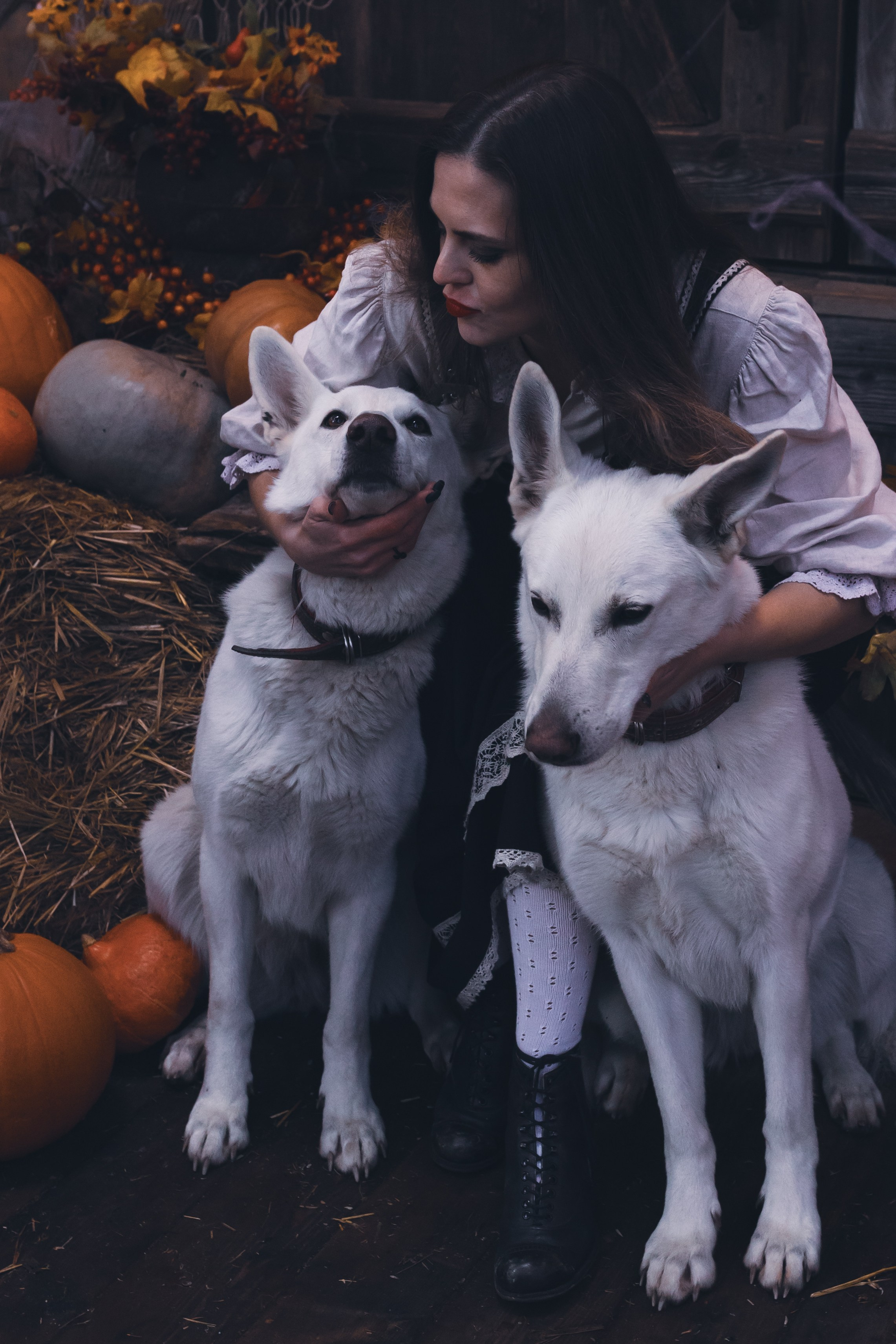 Тайны леса. Сказочный фотограф для Вас и Вашей семьи