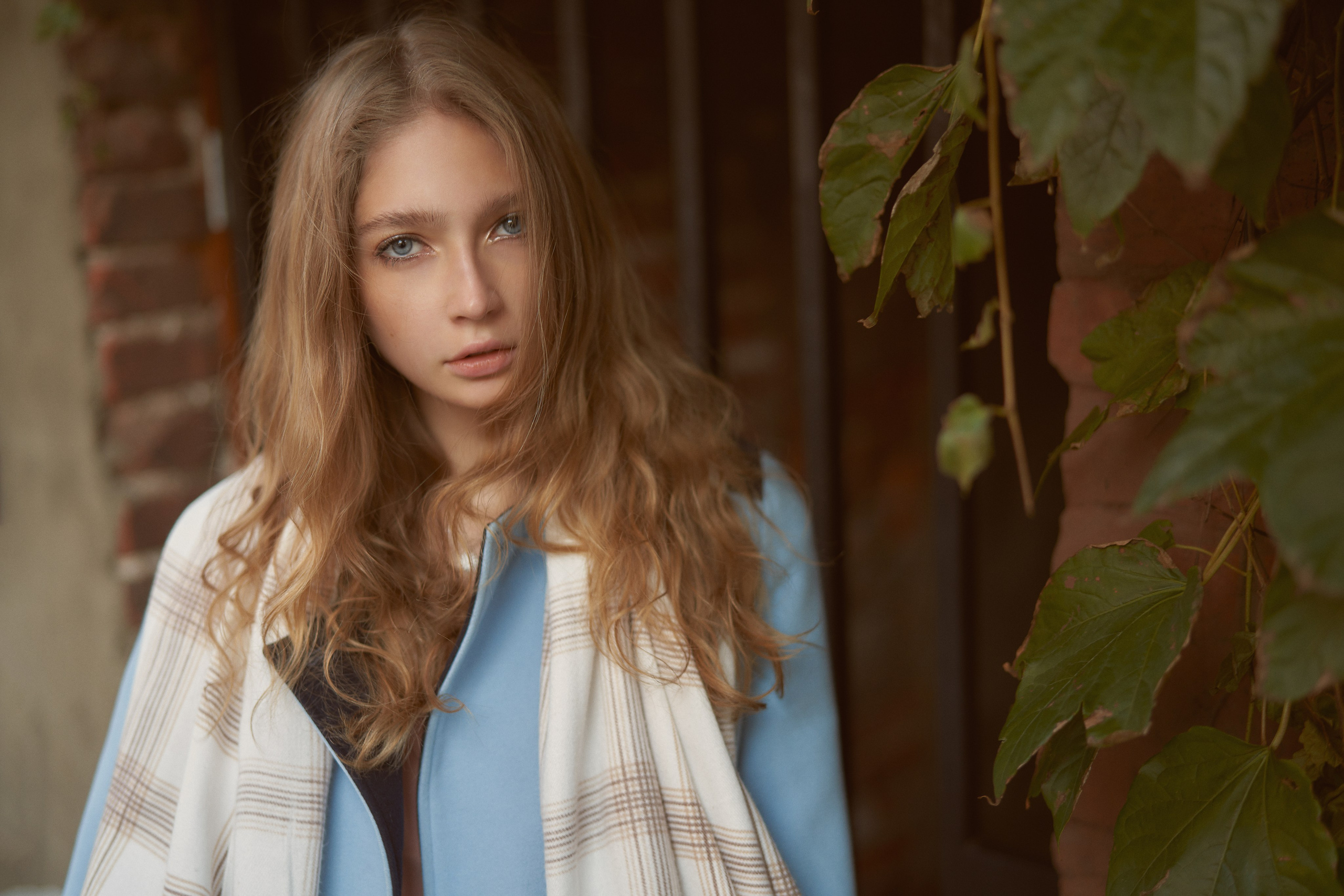 Естественный свет на улице