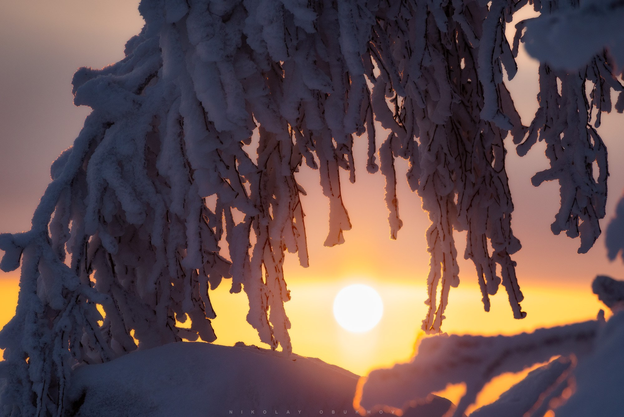 Зимний лес, мороз и сияние снежного утреннего неба.