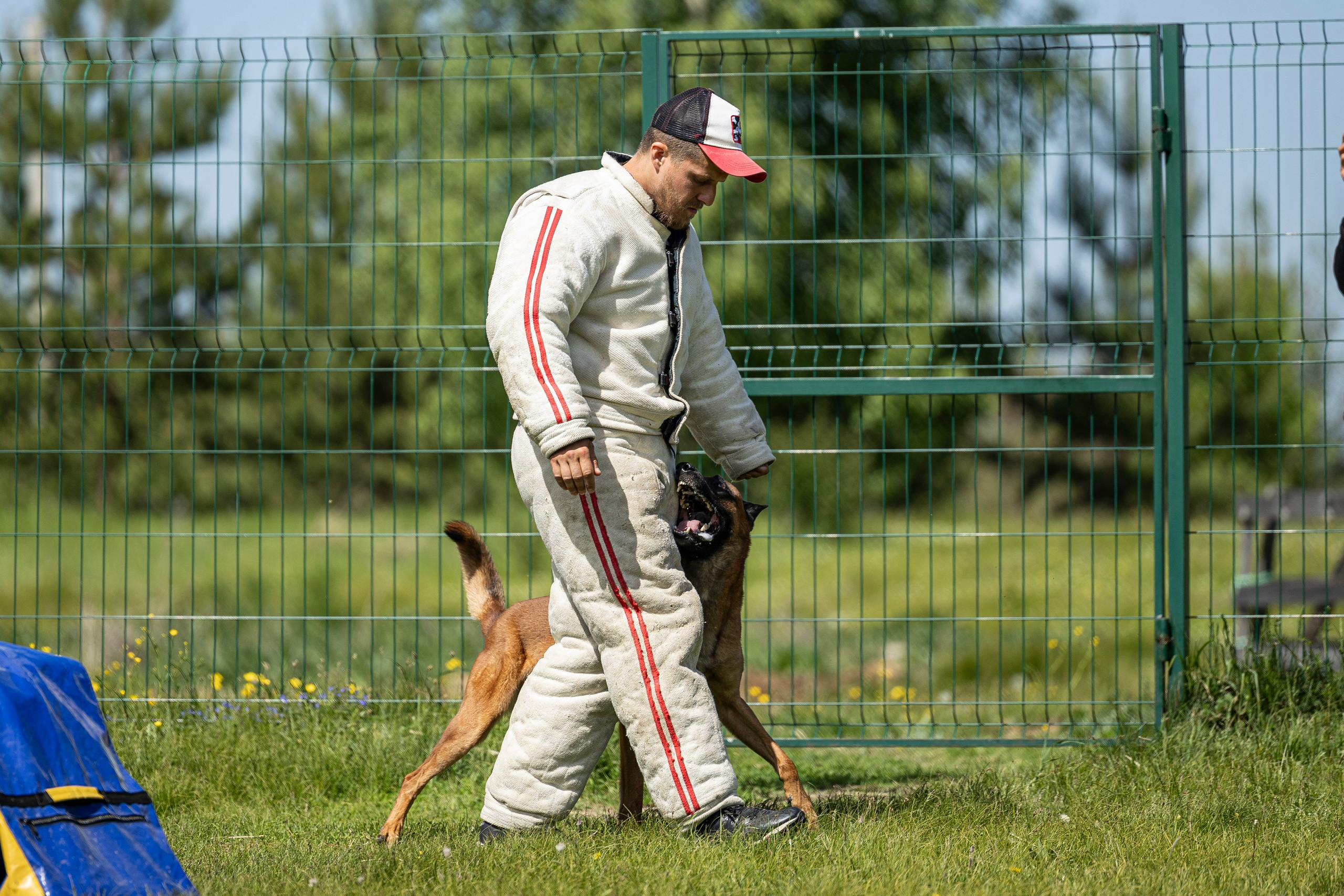 Испытания по мондьорингу в Нижнем Новгороде. Фотограф-анималист Анна Маринич