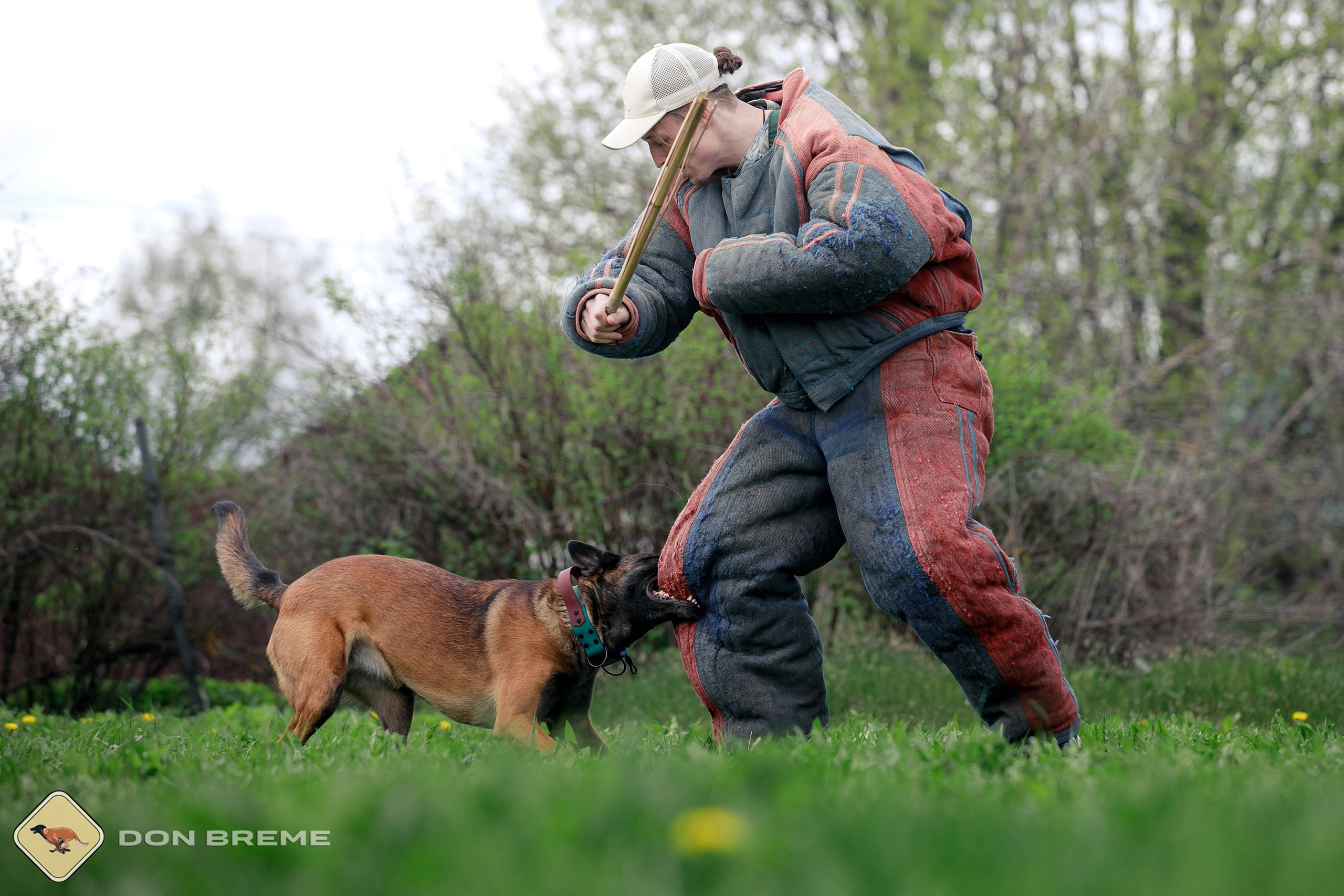Семинар для фигурантов, день 2. Фотограф-анималист Mary Mart — Москва, Питер
