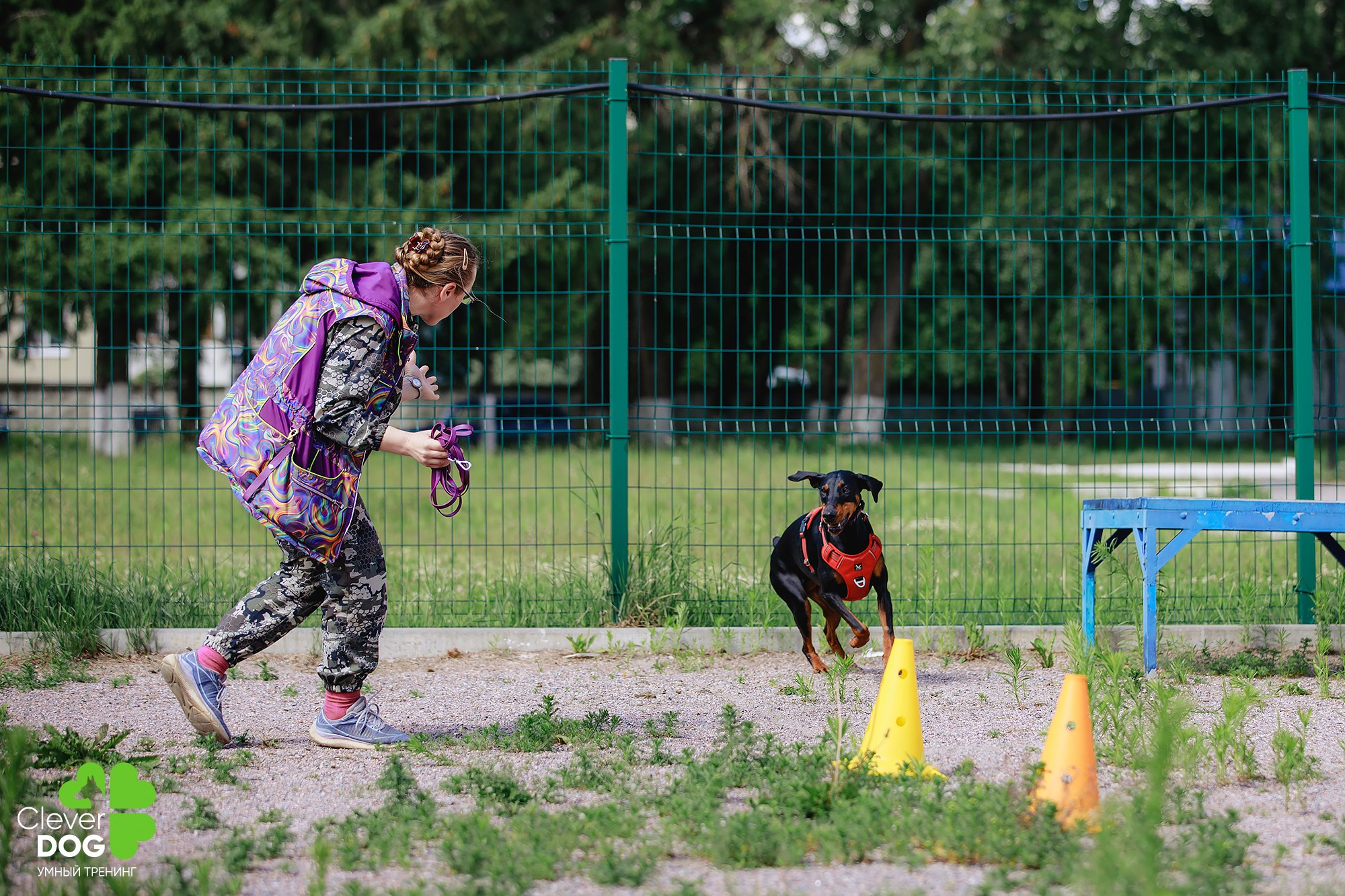 Семинар по поиску запаха с Иваном Ломовым, организатор CleverDog, СПб. Фотограф-анималист Mary Mart — Москва, Питер