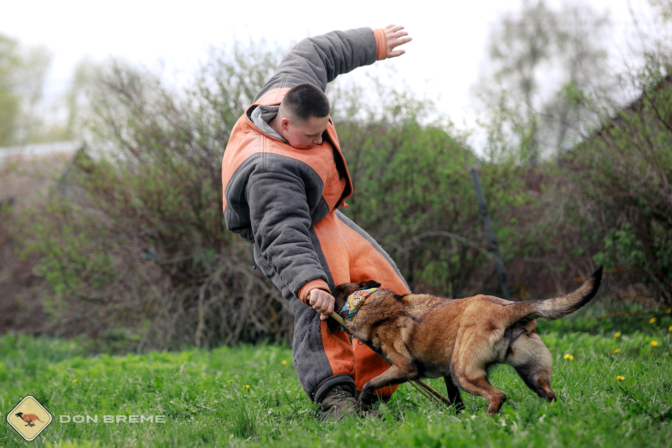 Семинар для фигурантов, день 2. Фотограф-анималист Mary Mart — Москва, Питер