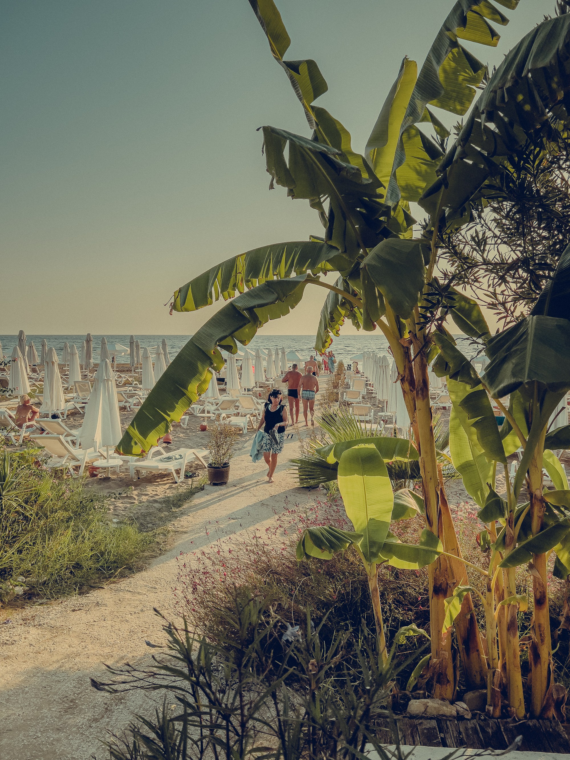 Турция, Сиде. Фотошкола ArtFotoLife для начинающих и продвинутых фотографов