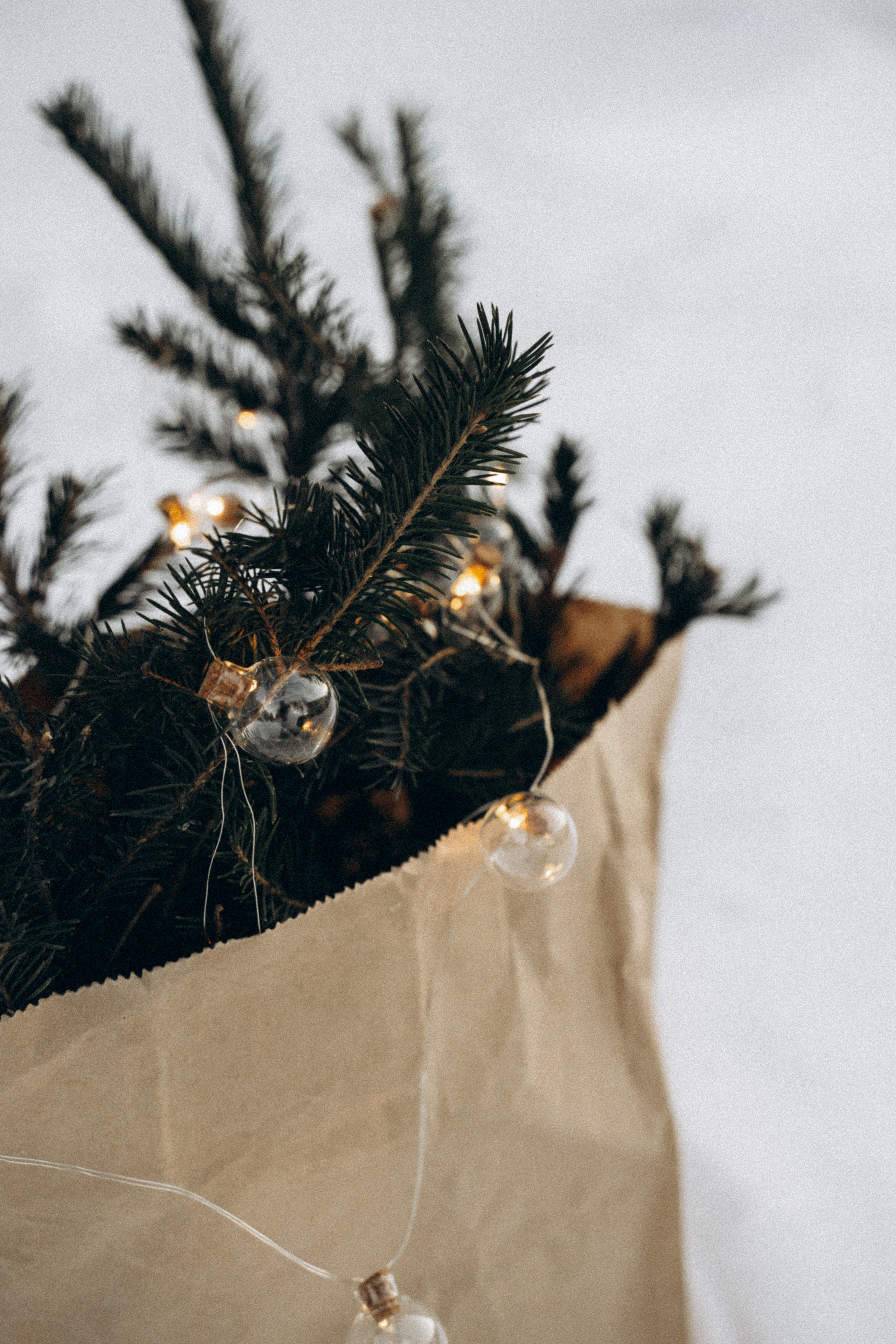 Мир для троих. Моменты и истории о вас настоящих