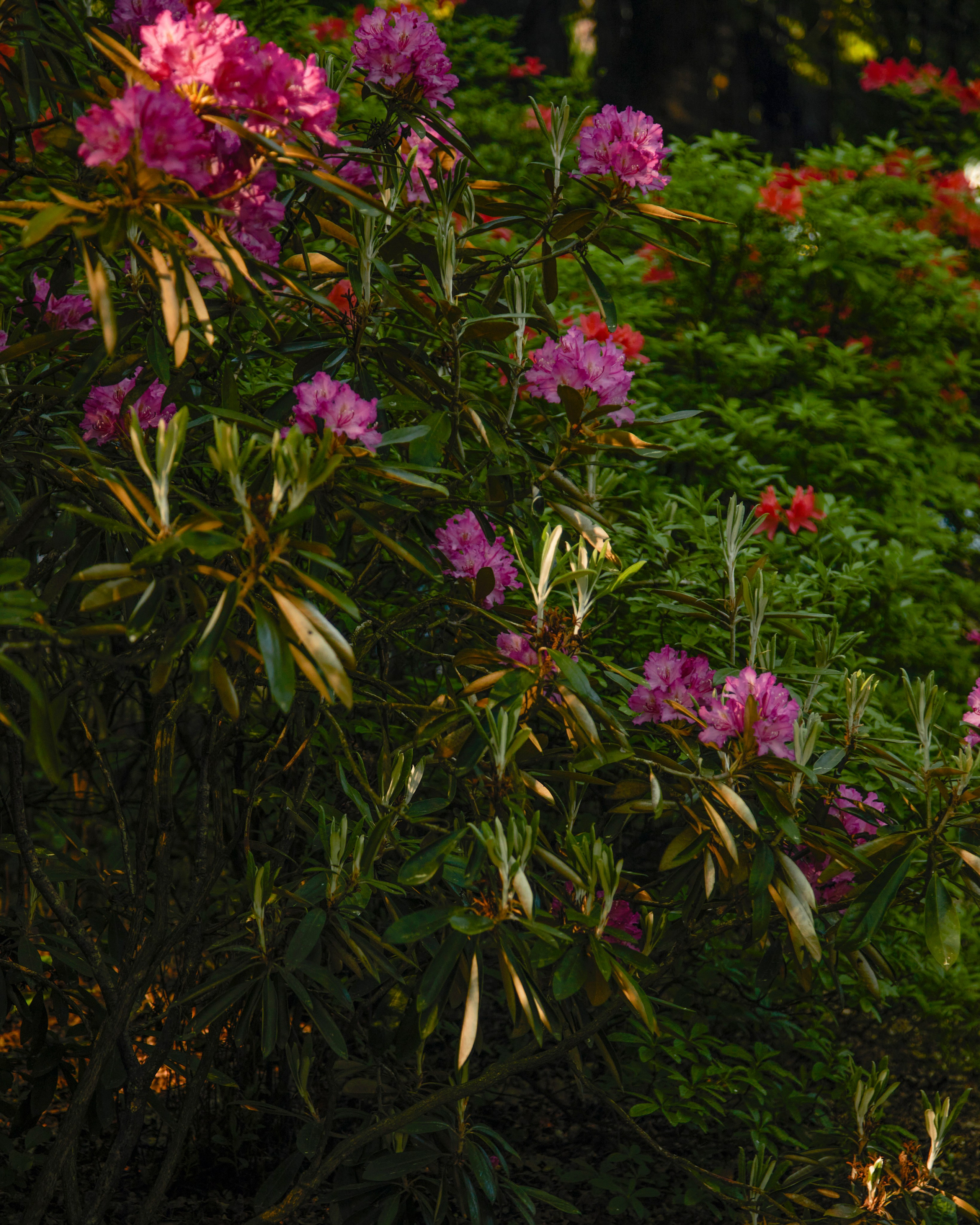 София и мама. Фотограф Ирина Бутко