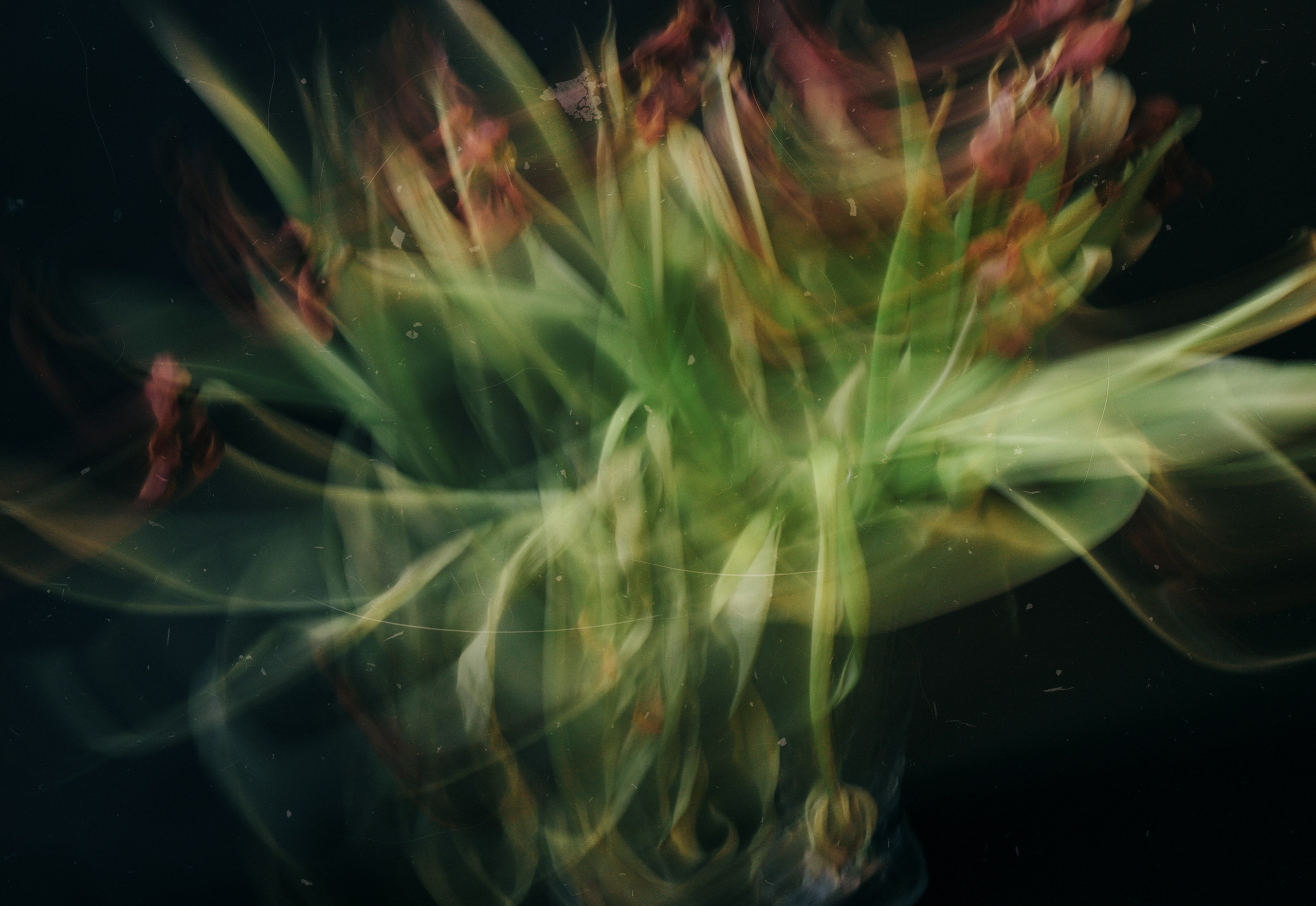 Ускользающая красота. Элина Михальцова, визуальный артист, фотограф в Екатеринбурге