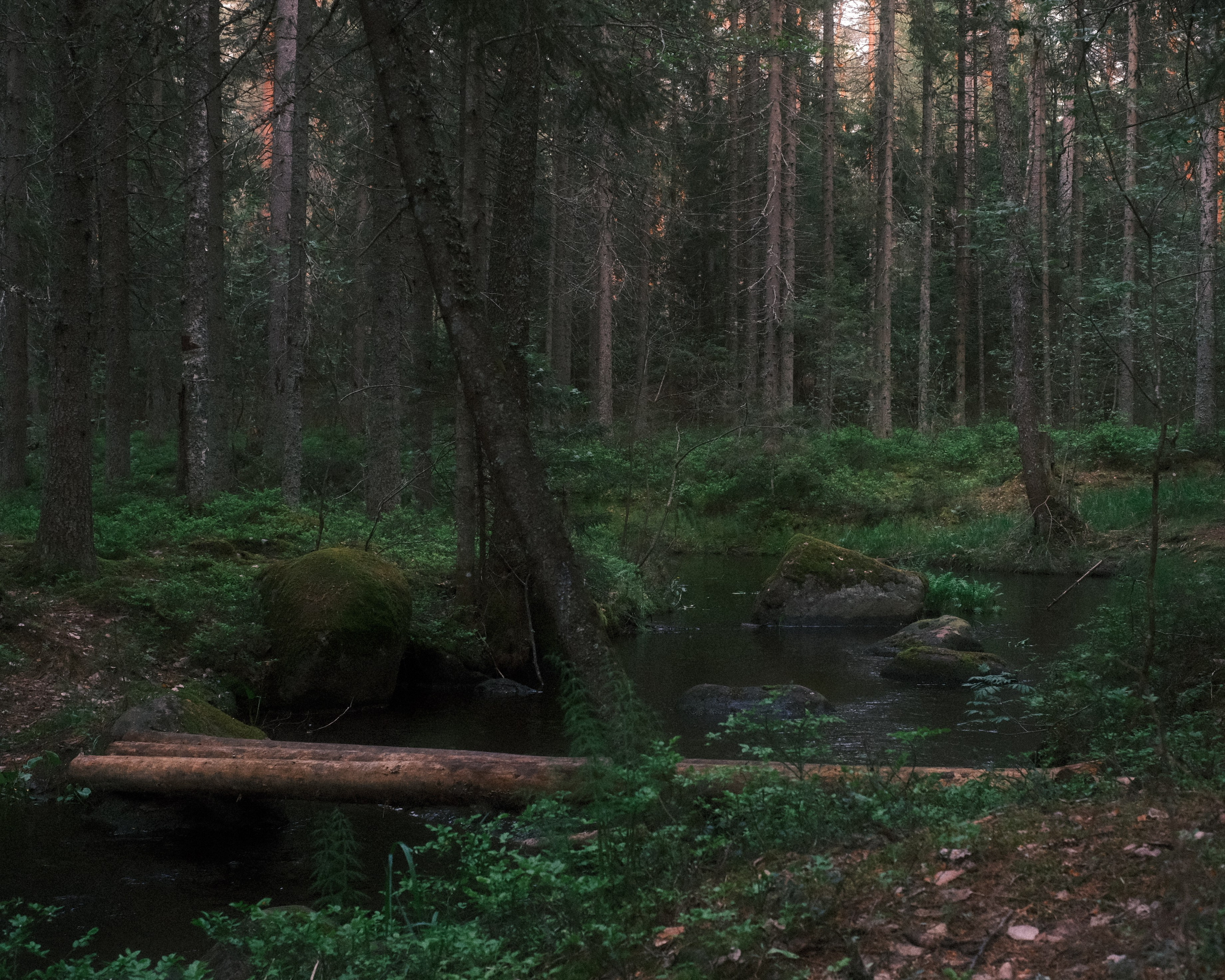 Орехово | май 2025