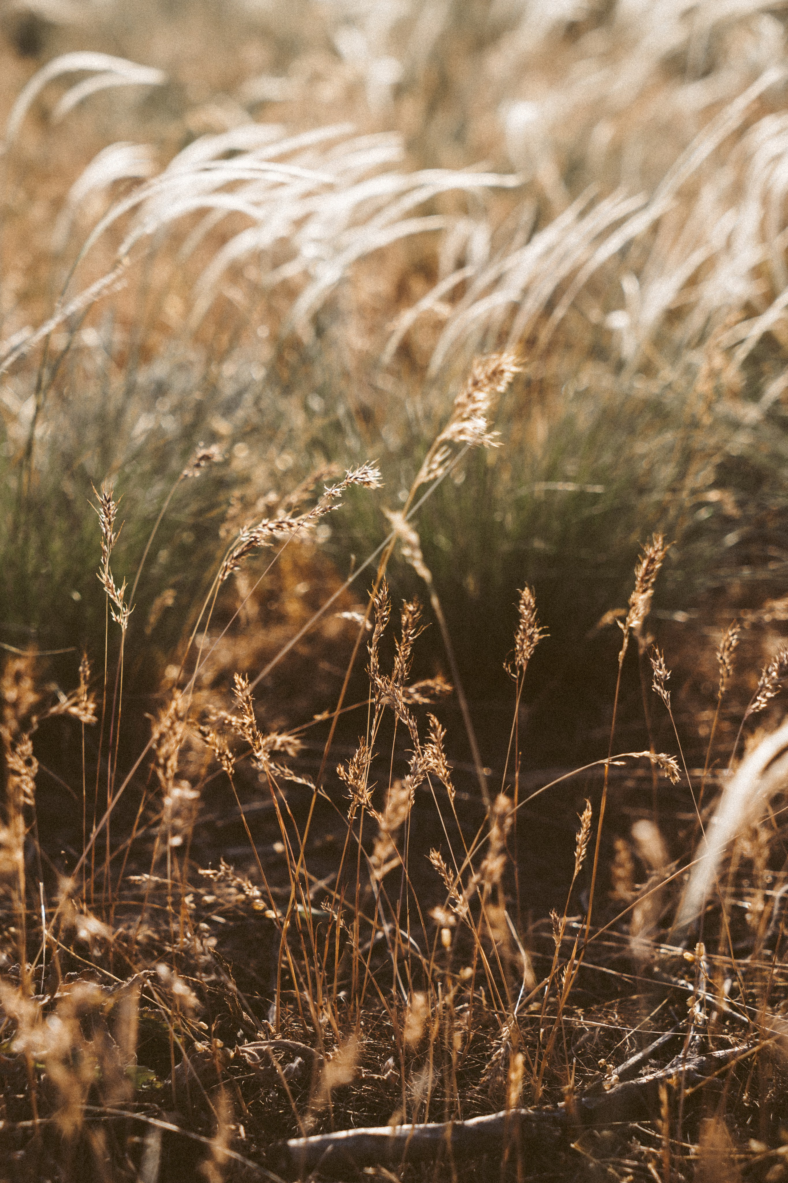 Family. Фотограф Волгоград