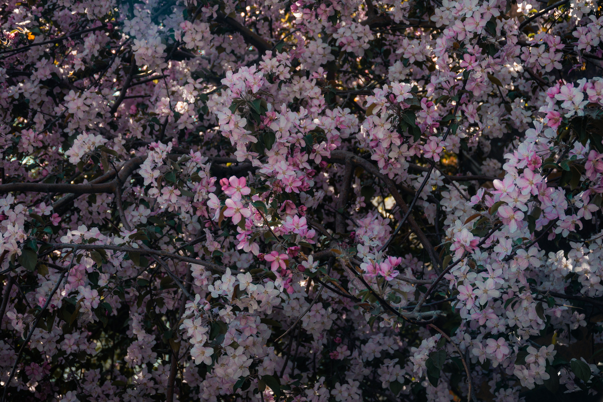 Nature. AndreyRKT Photo