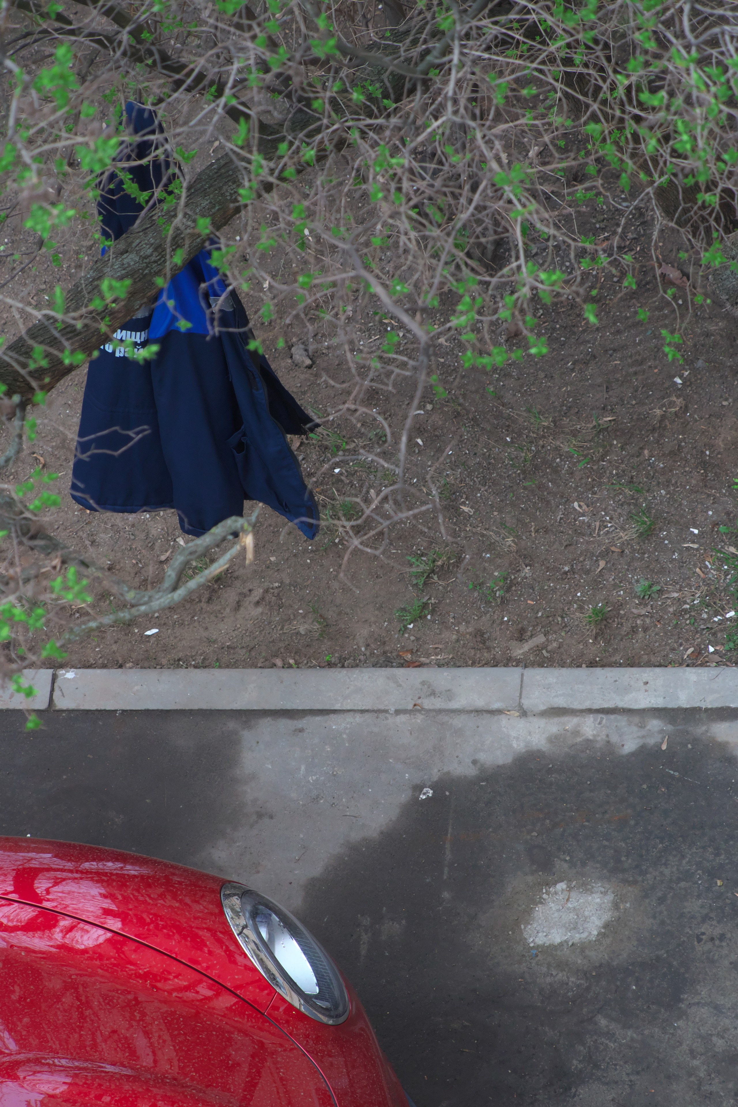 Пасмурный день 🌧️. Миша Печёнкин | фотография