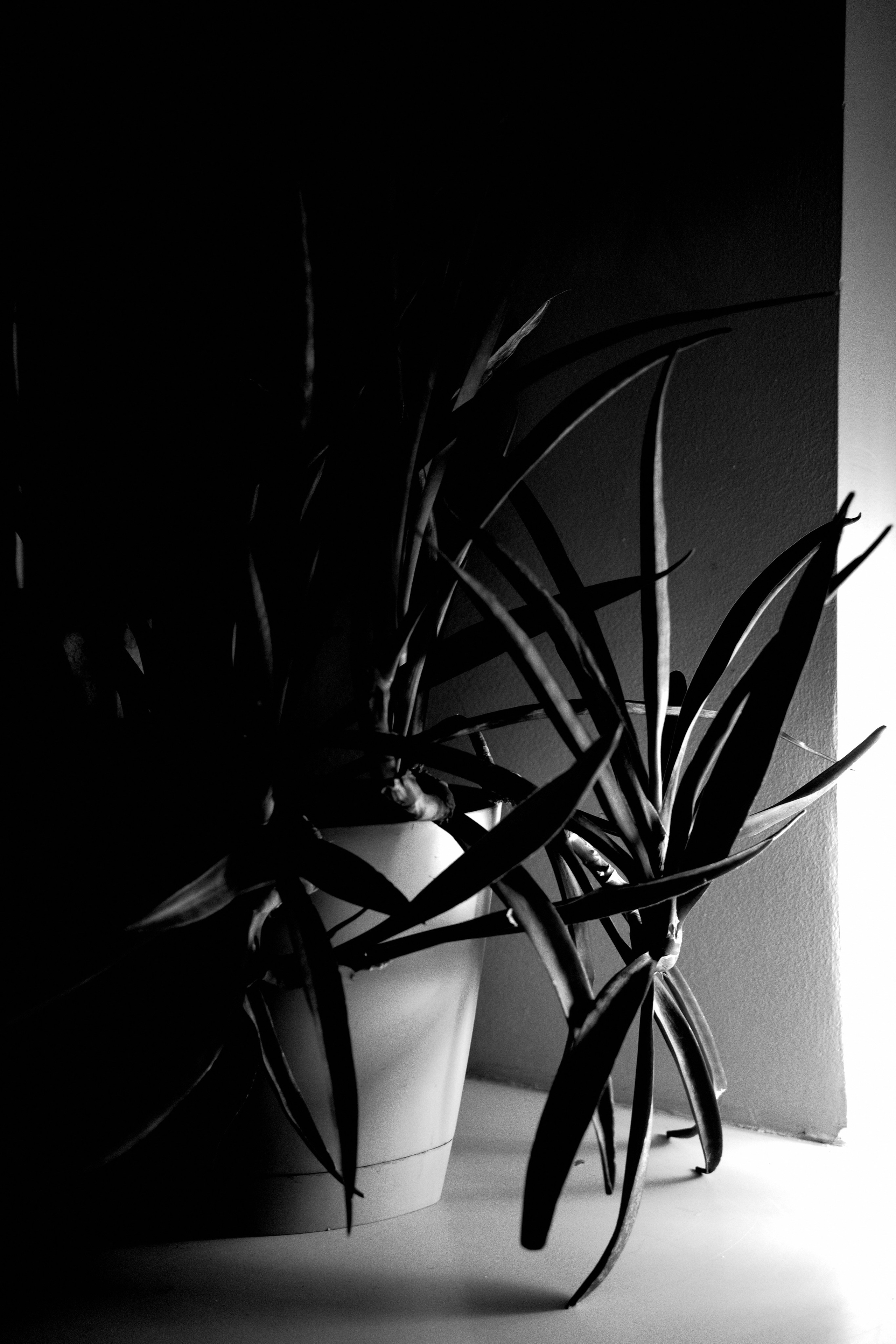 Черно-белое. Миша Печёнкин | фотография