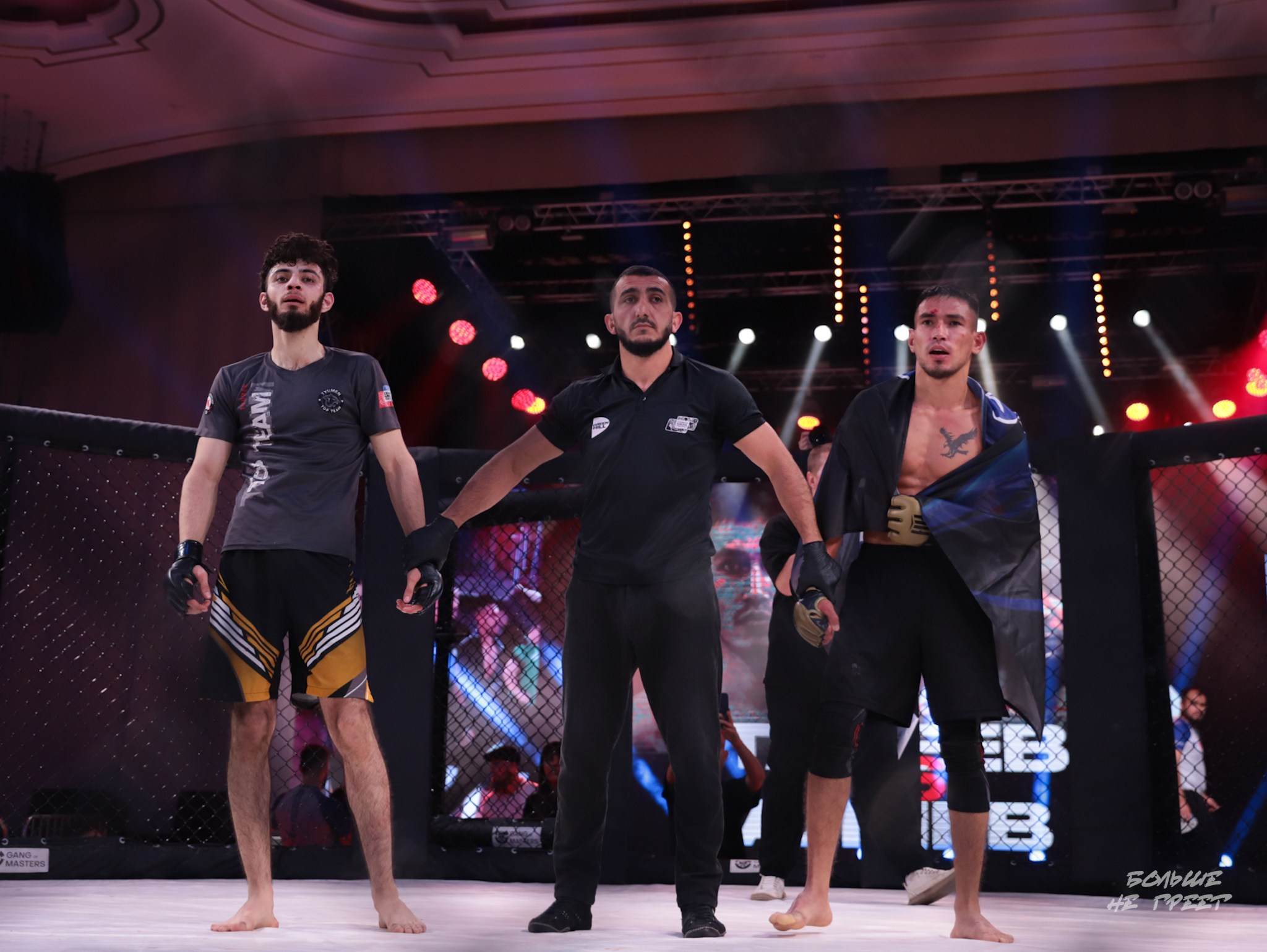 SABR FIGHTING. Больше не греет