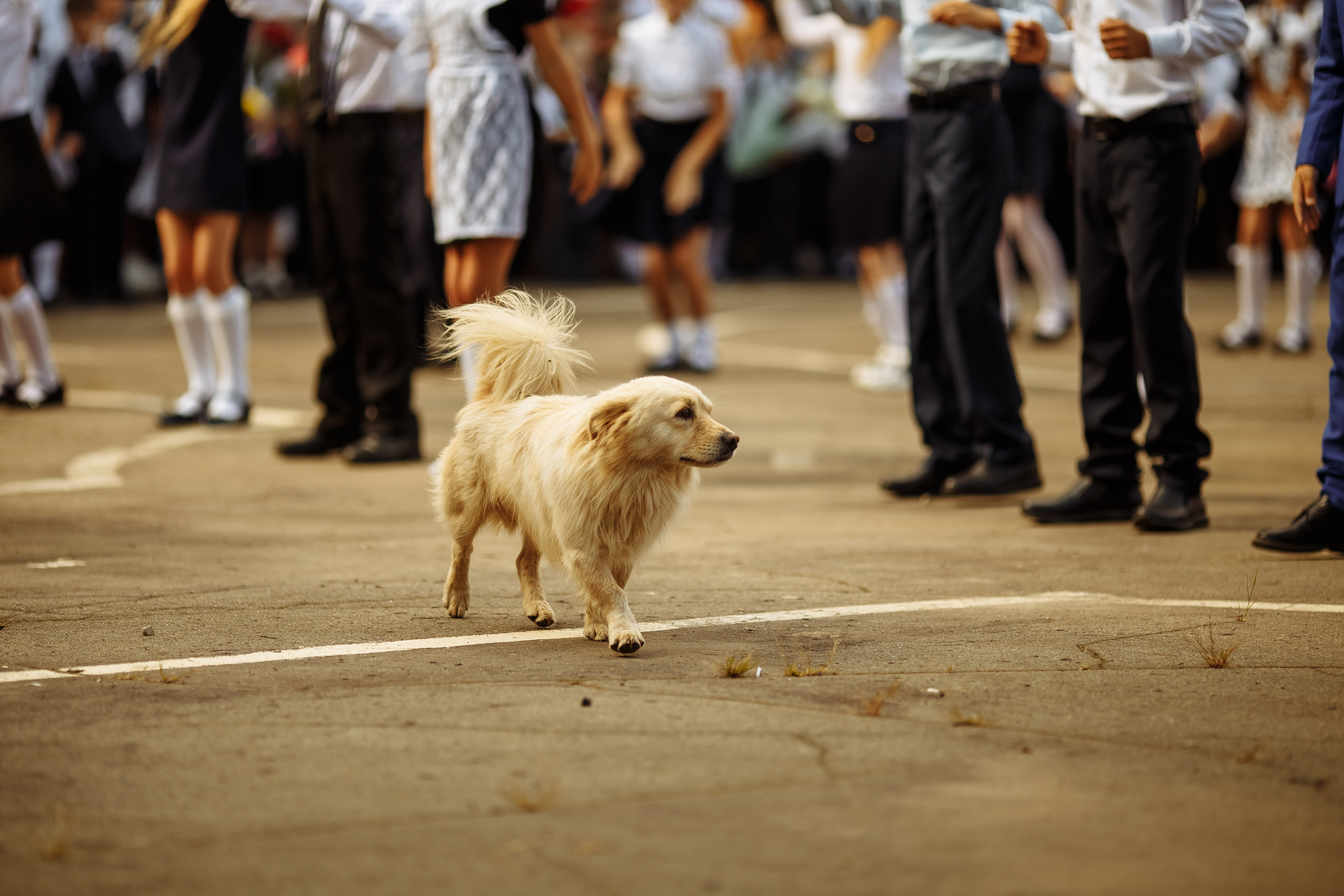 Репортаж. Портретный фотограф, Славянка