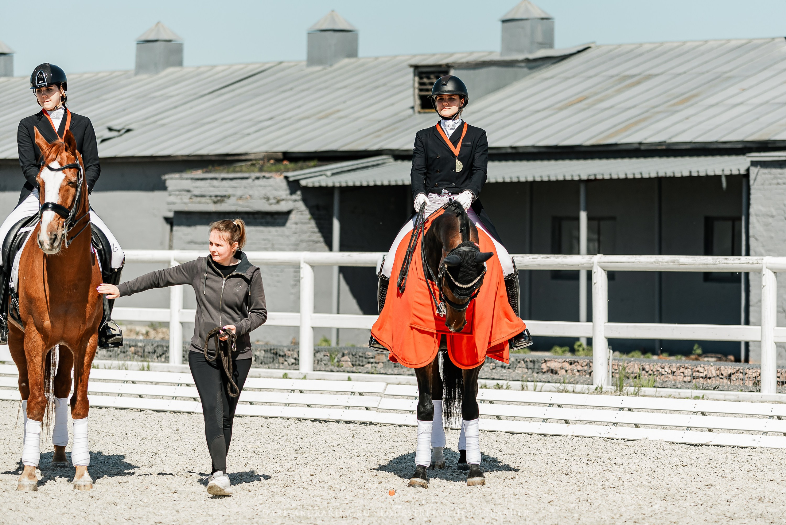 РЕПОРТАЖ МКК ВОЛЬТ «LA TULIPS». Конный фотограф Куракина Дарья • Фотосессии с лошадьми