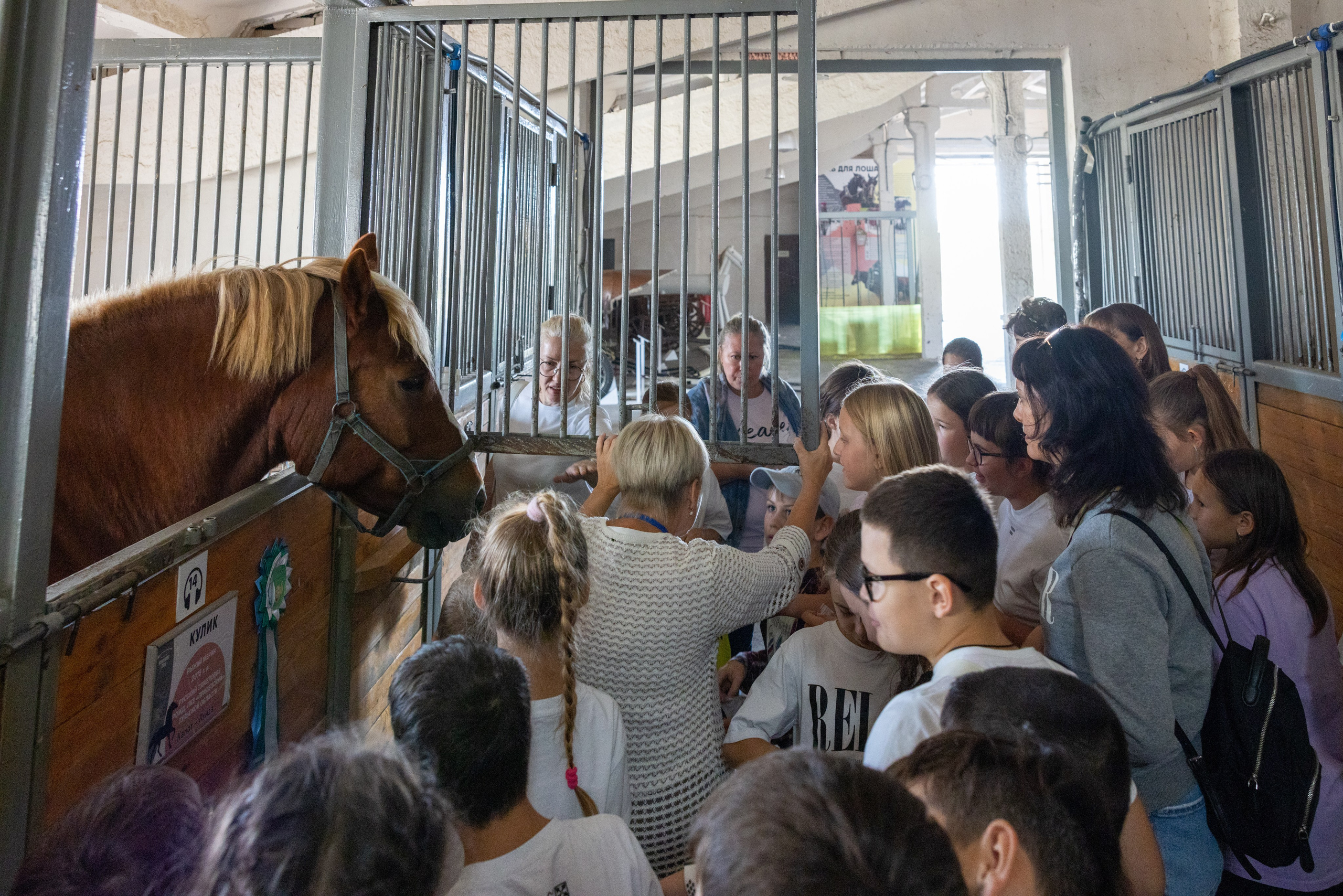 Поездка на поле Кулеково. Фотограф в Туле Крупский АнДРей. Фотостудия «КАДР71» в Туле