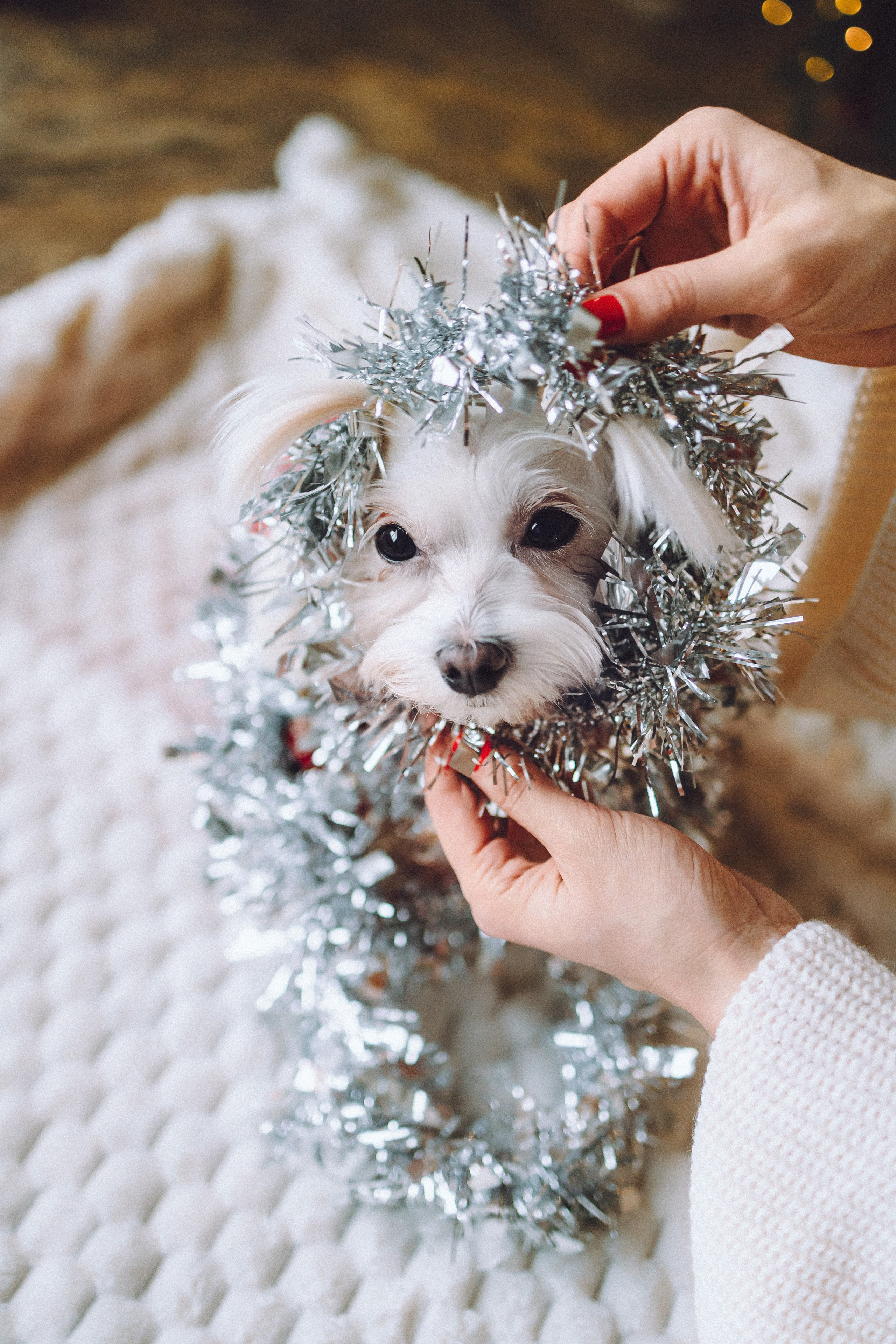 Констанция и Молли