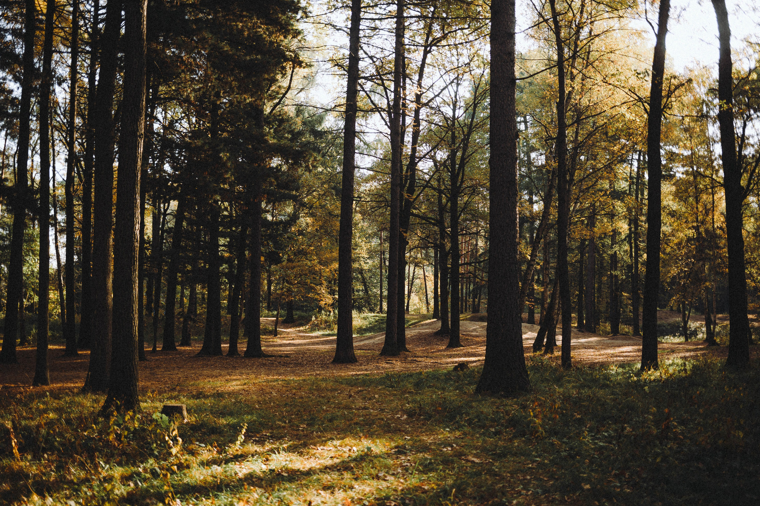 Ксюша, Ваня и Рамона