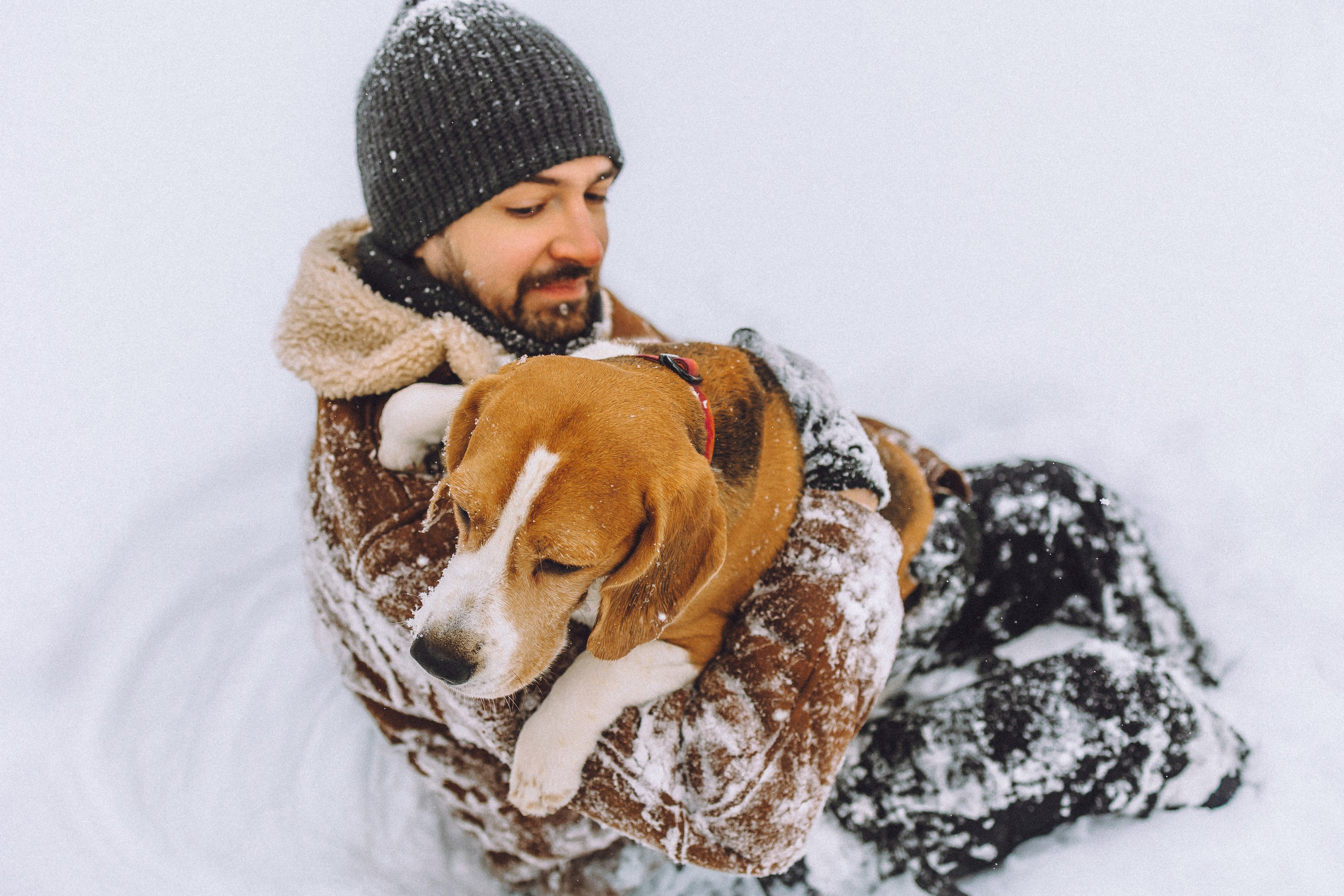 Роман, Портер и Коррес