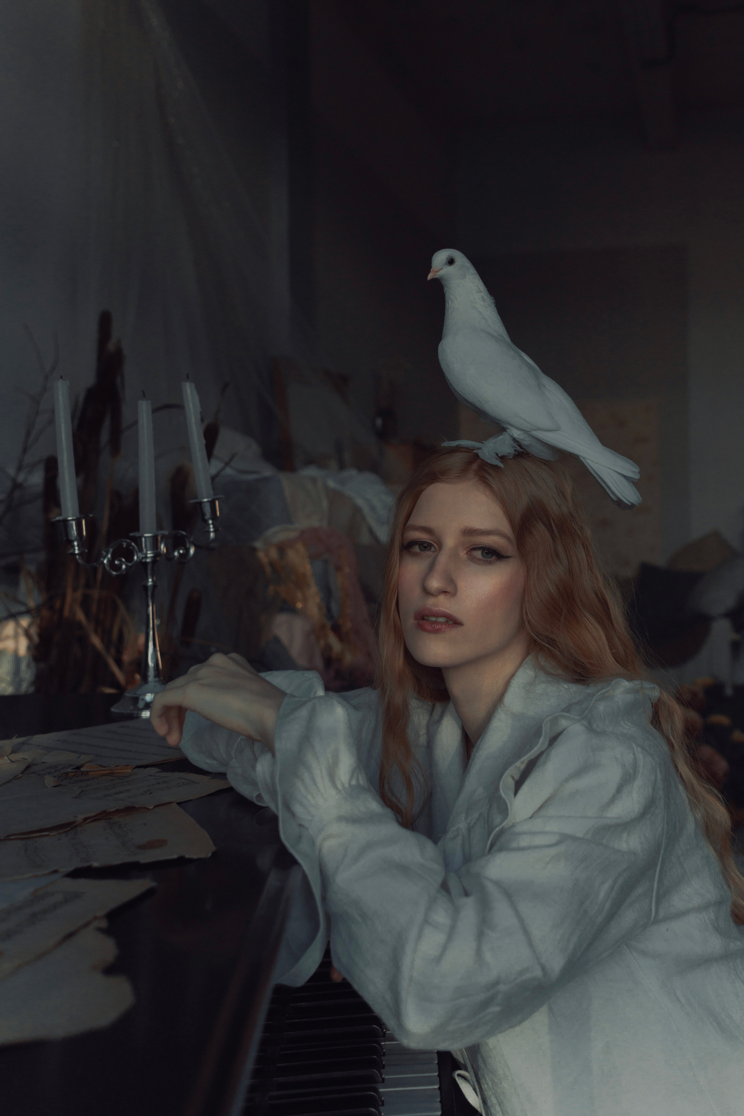 Голубь. Фотограф Anita Mivchas