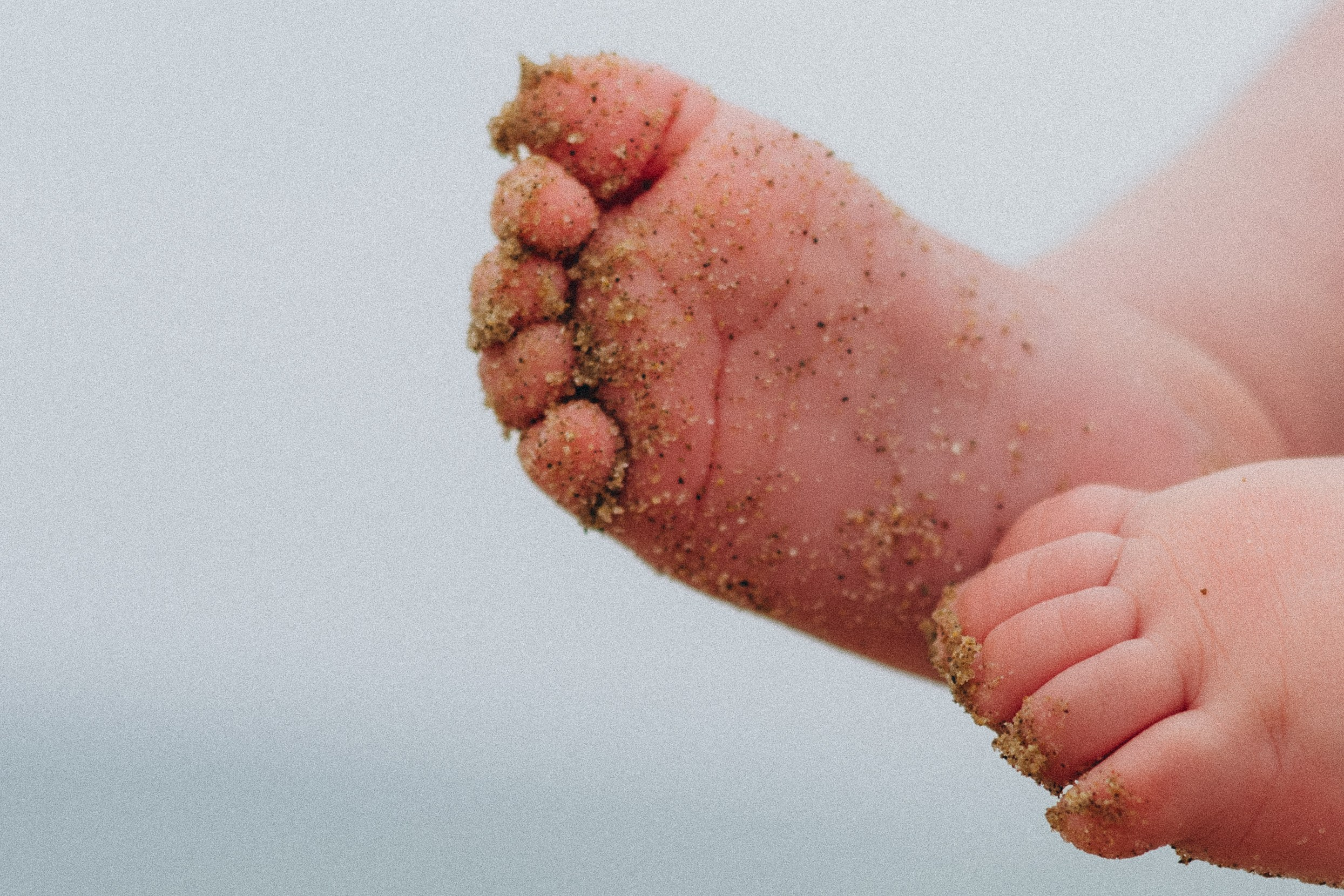 Natalia Finch Photography — Family, Kids & Pet Photographer in Chicago, IL