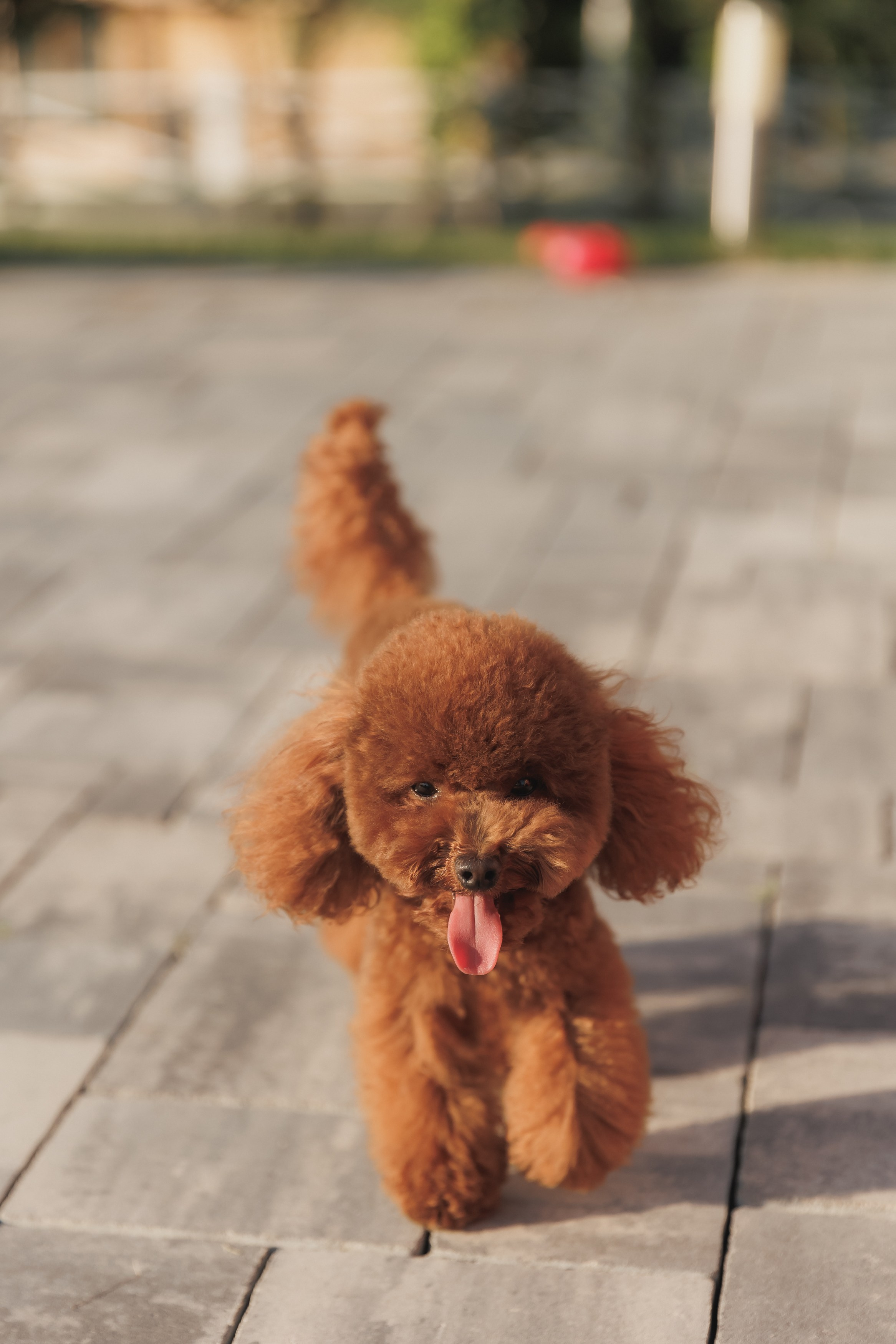 Платону 10!. Фотограф в Волгограде — Александра Искандерова