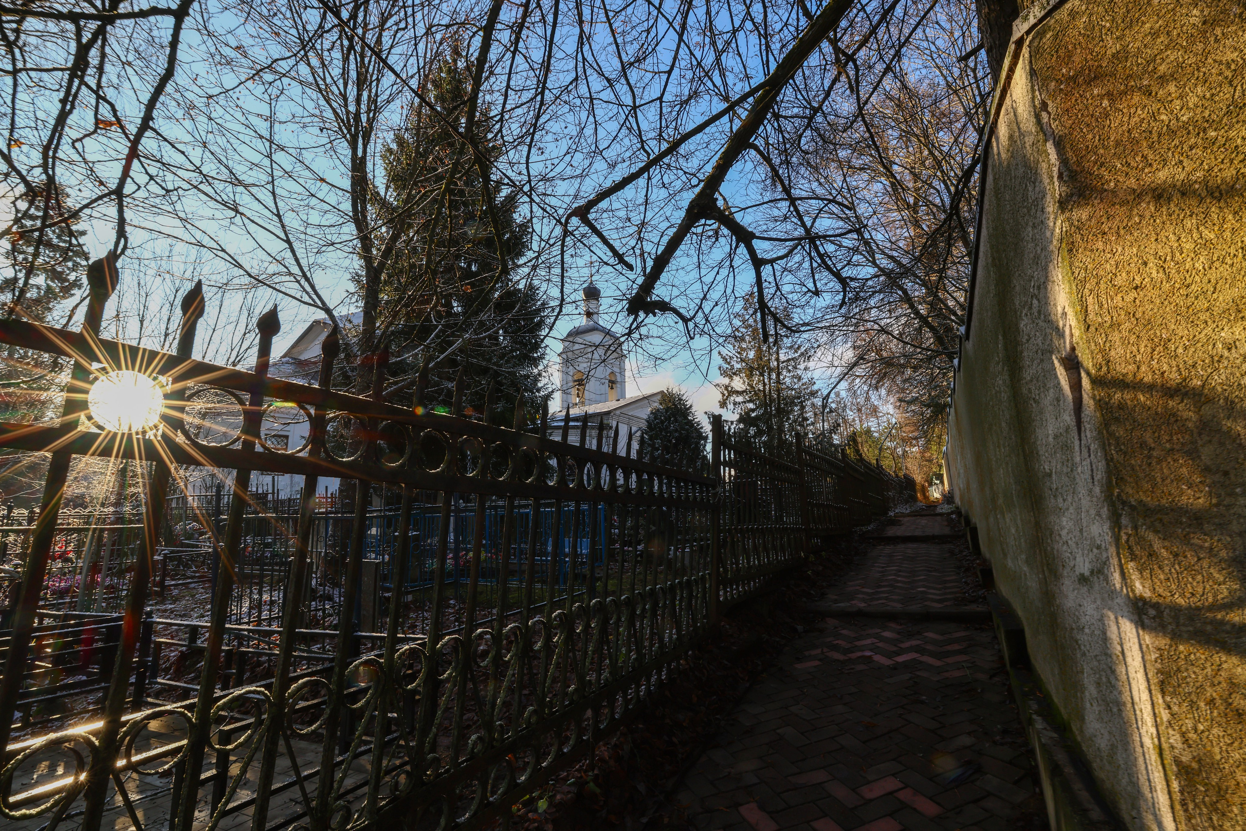 Два лепестка Химкинского марафона у дома, 23.11.25. Фотограф Сергей Ловкий