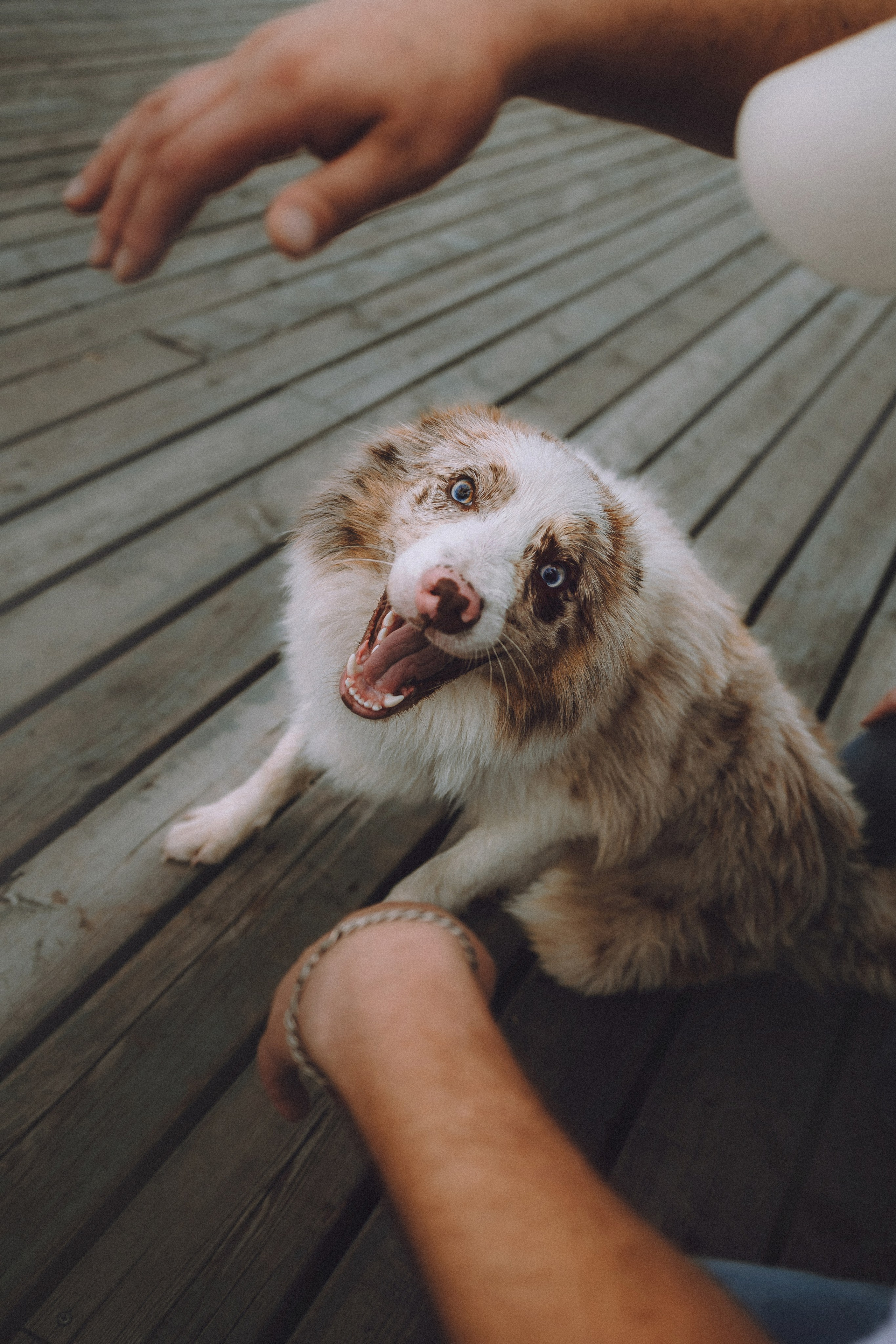 Один и его семья