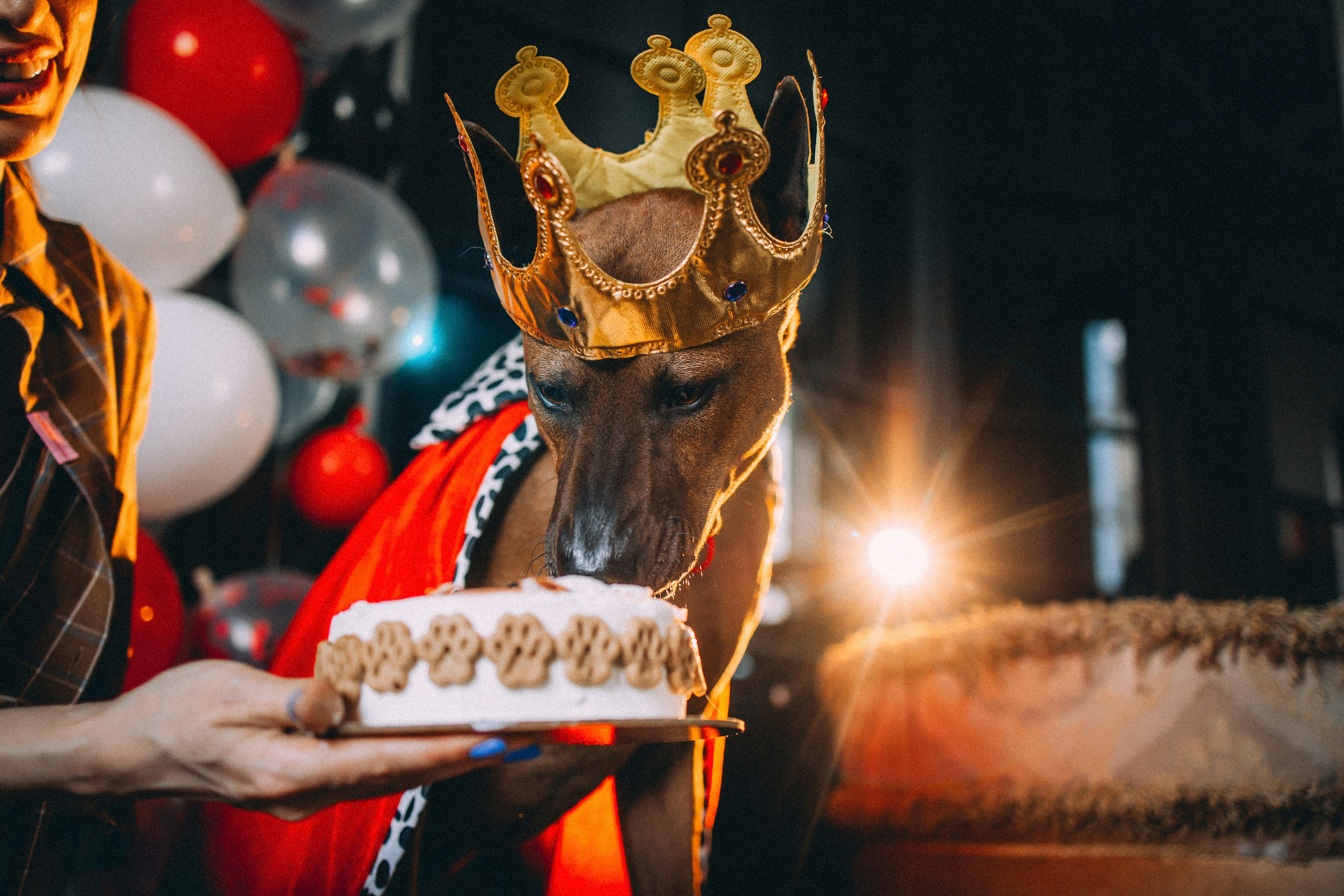 Оксана и Зевс