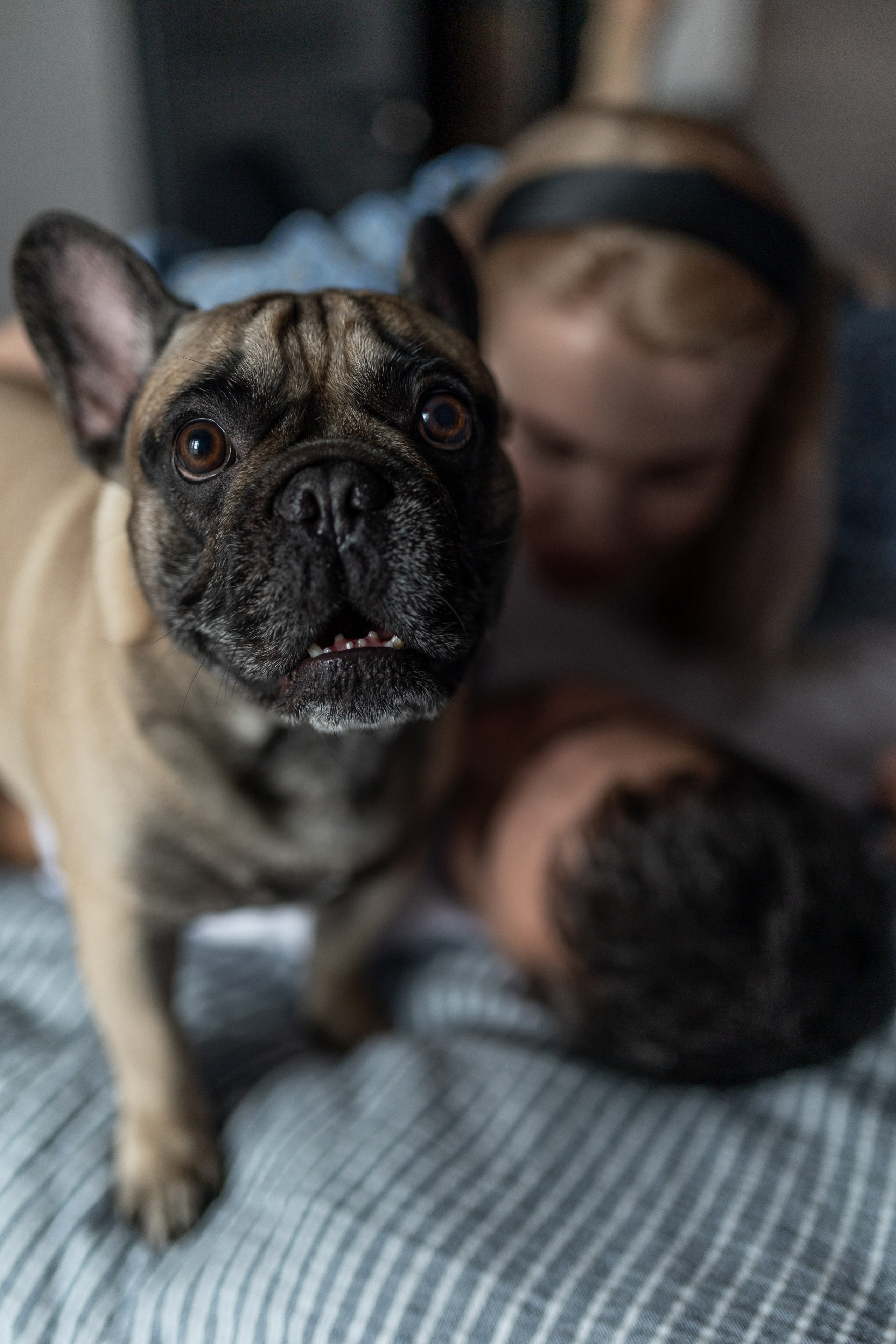 Домашняя съемка. Свадебный, репортажный фотограф Ирина Шкурина