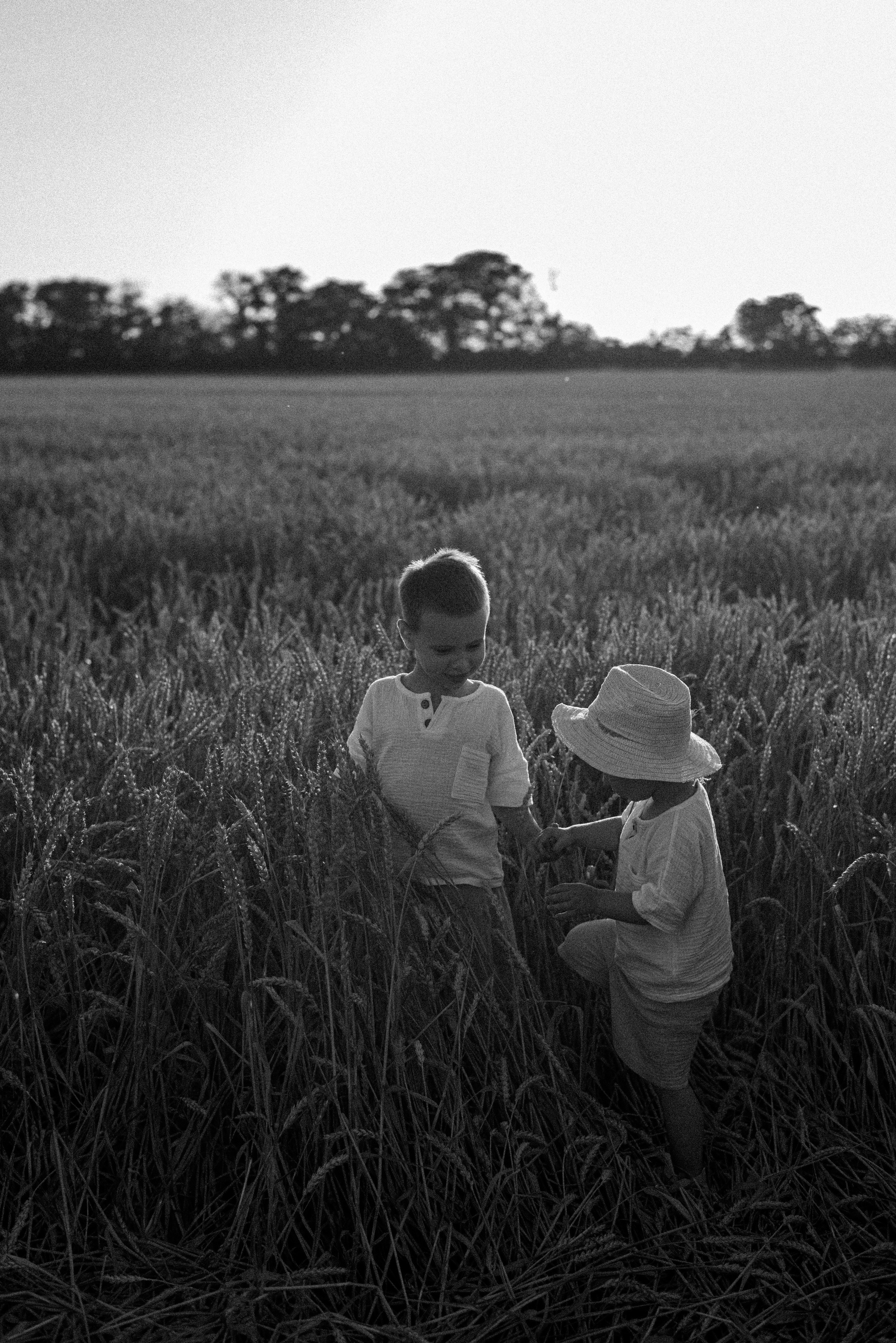 В поле на закате. Детский и семейный фотограф выпускной альбом Приморско-Ахтарск