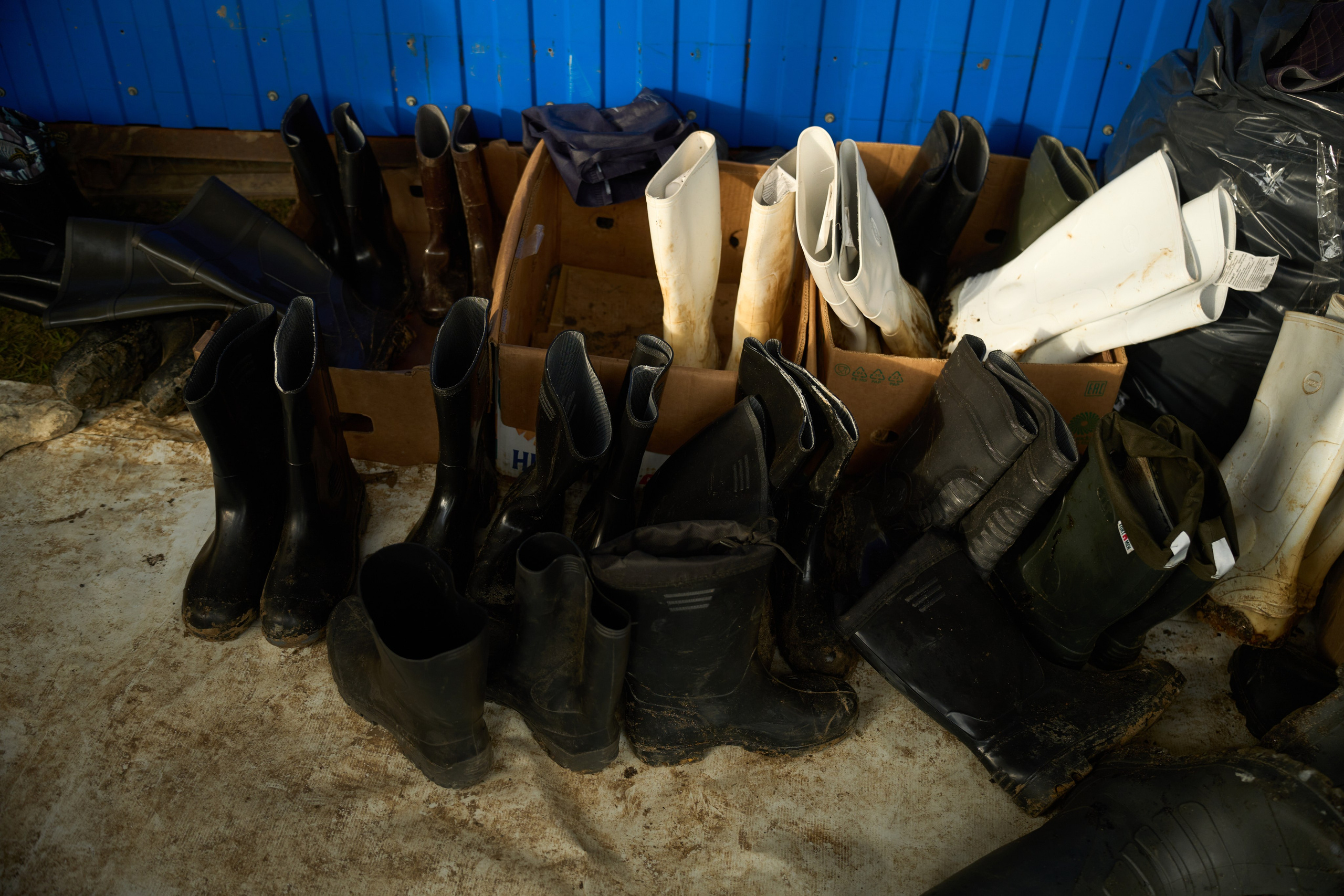 Black Sea. Ksenia Arefieva