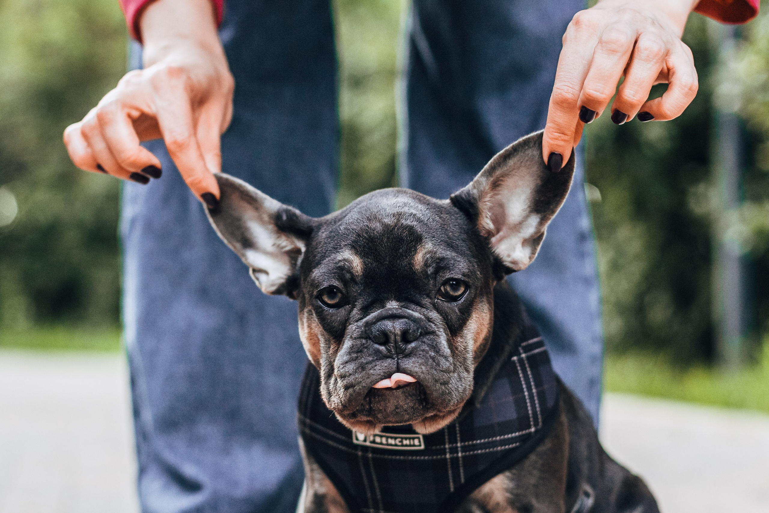 Даша и Мишель. Фотограф-анималист Татьяна Степанова