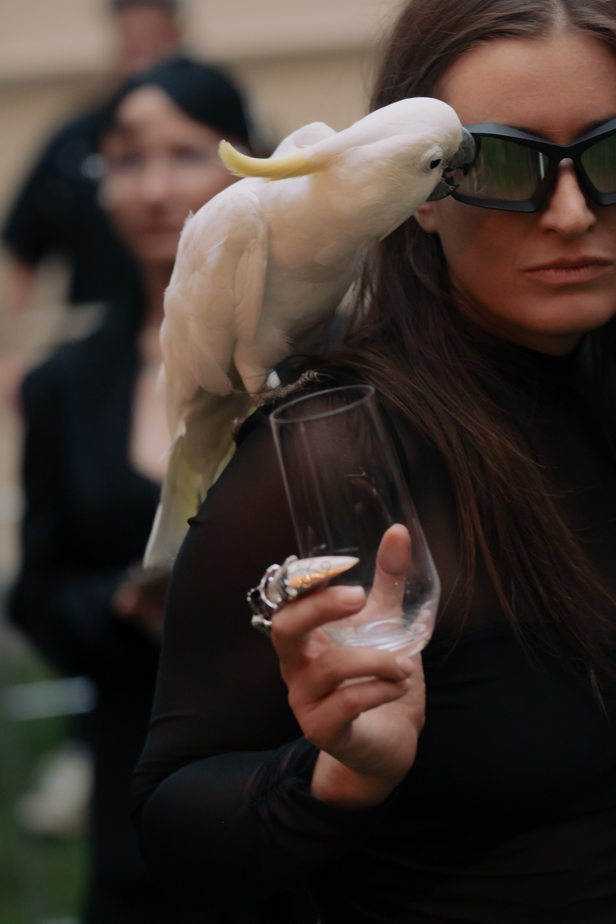 Адище города. Портретный и репортажный фотограф в Санкт-Петербурге Максим Пашков