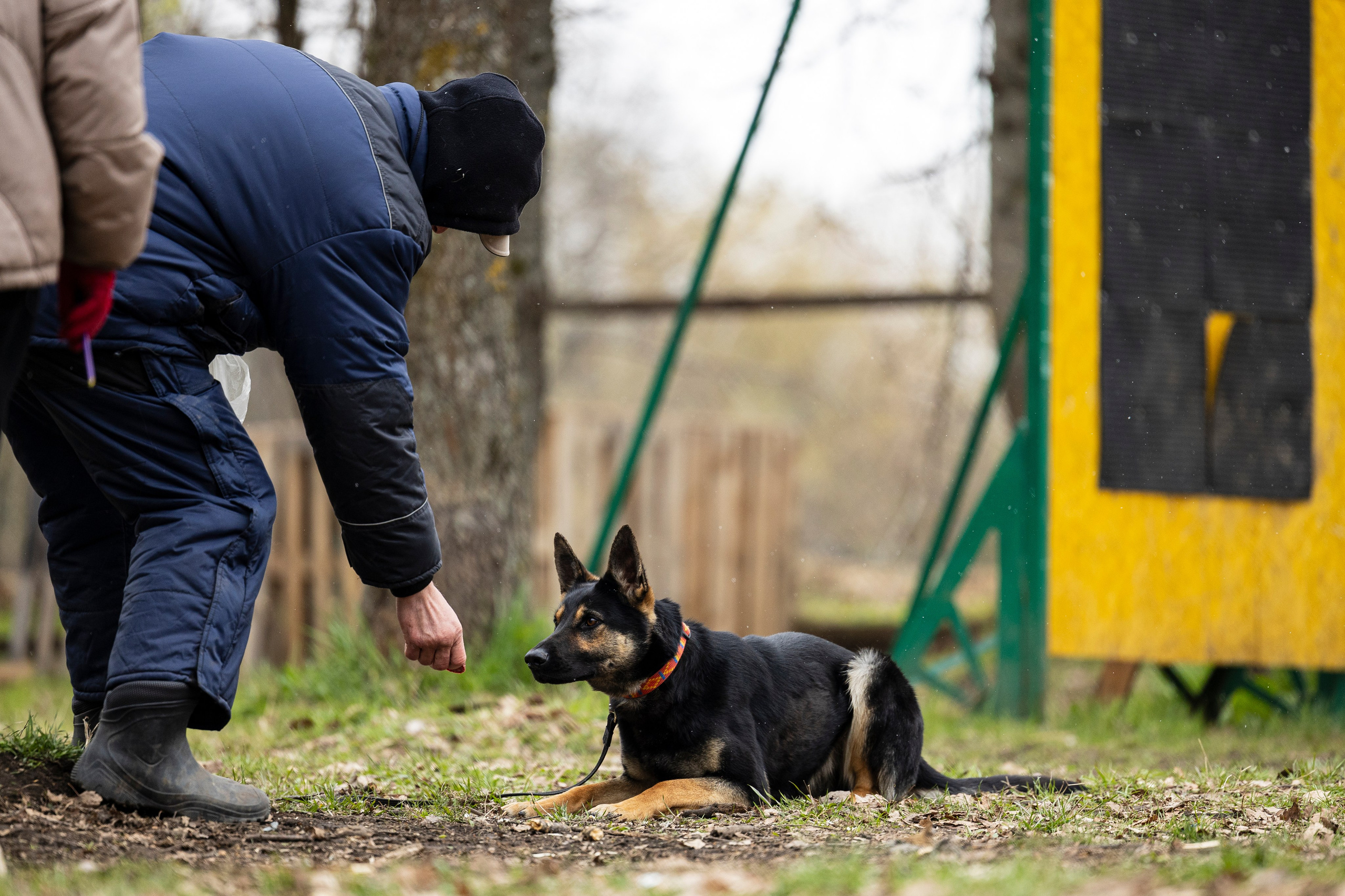 Квалификационные состязания по мондьорингу г. Вологда 11.05.24. Фотограф-анималист Анна Маринич
