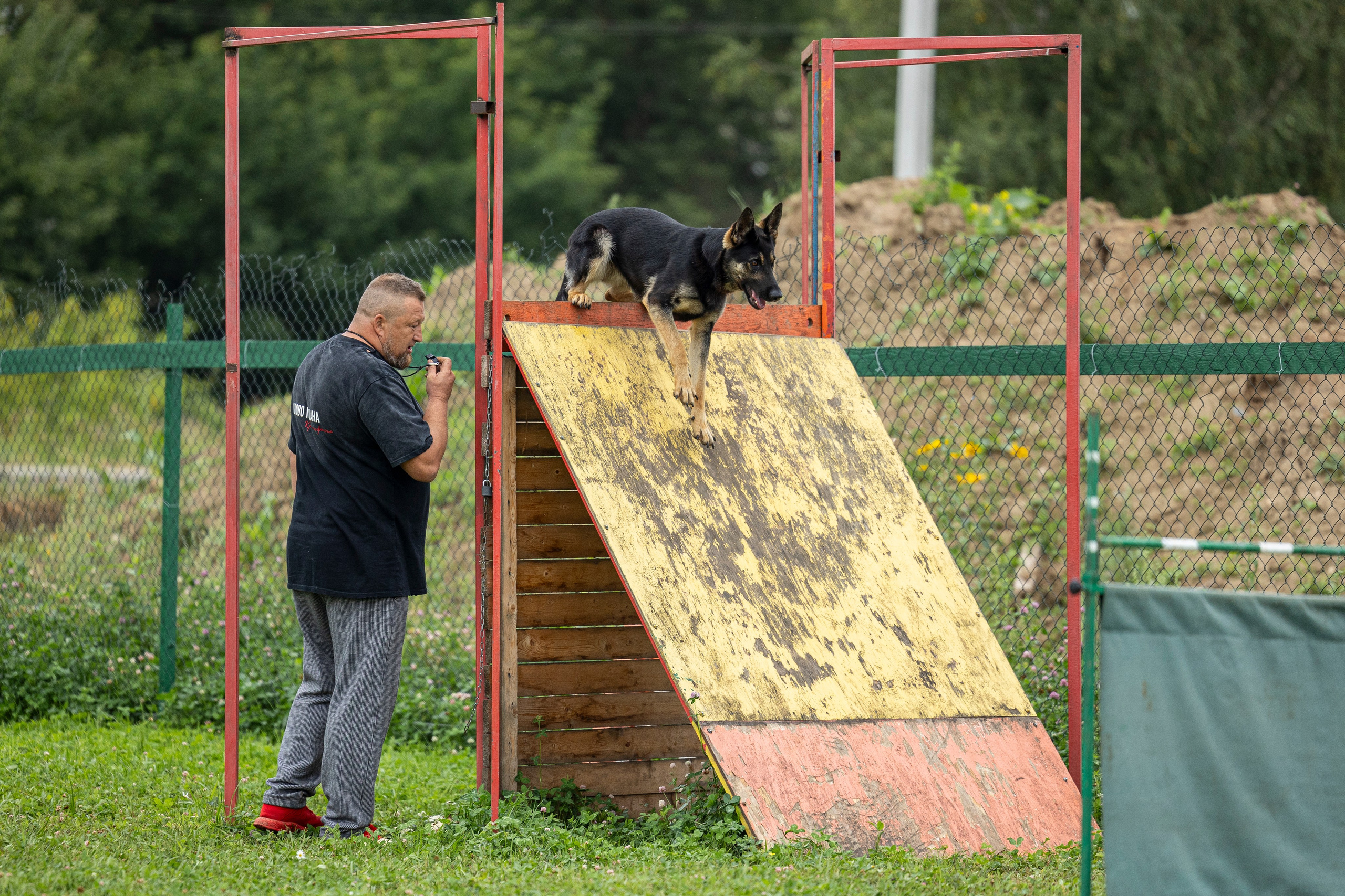 Соревнования по Мондьорингу г. Вологда 10-11.08.2024. Фотограф-анималист Анна Маринич
