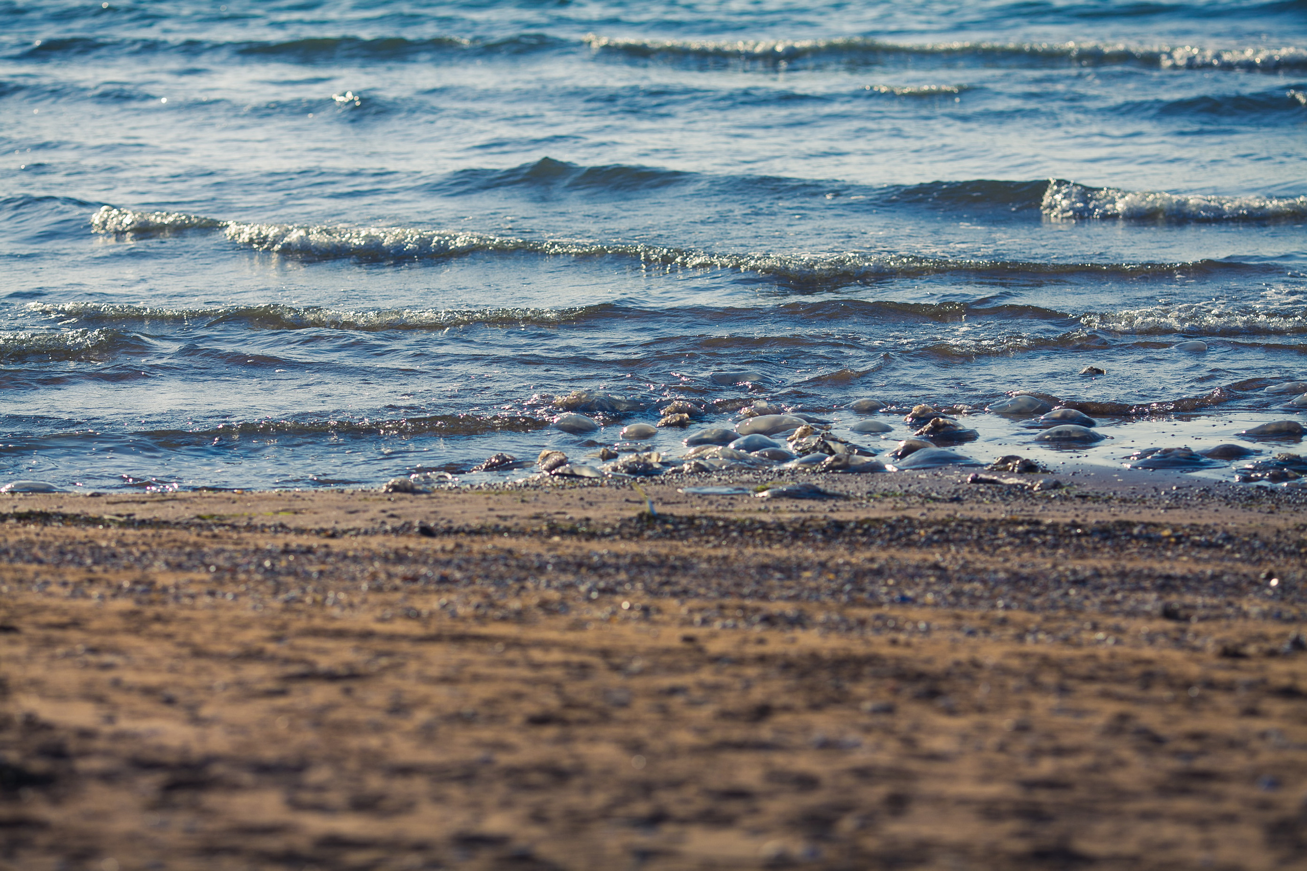 Галина и Валерий. Дизайн интерьера Керчь, дизайнер интерьера Еремина Мария Керчь, Симфер