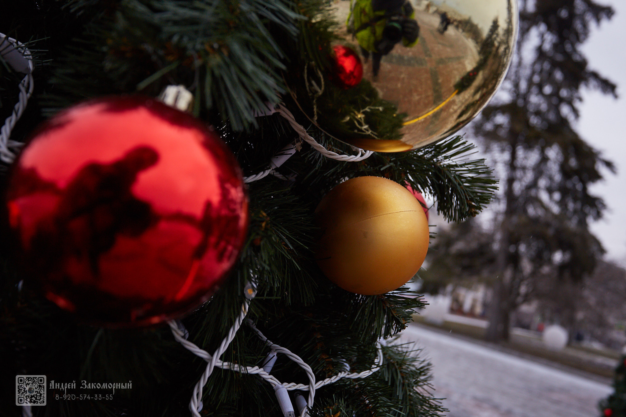 Репортажная фотосъёмка. Фотомастерская Андрея Закоморного